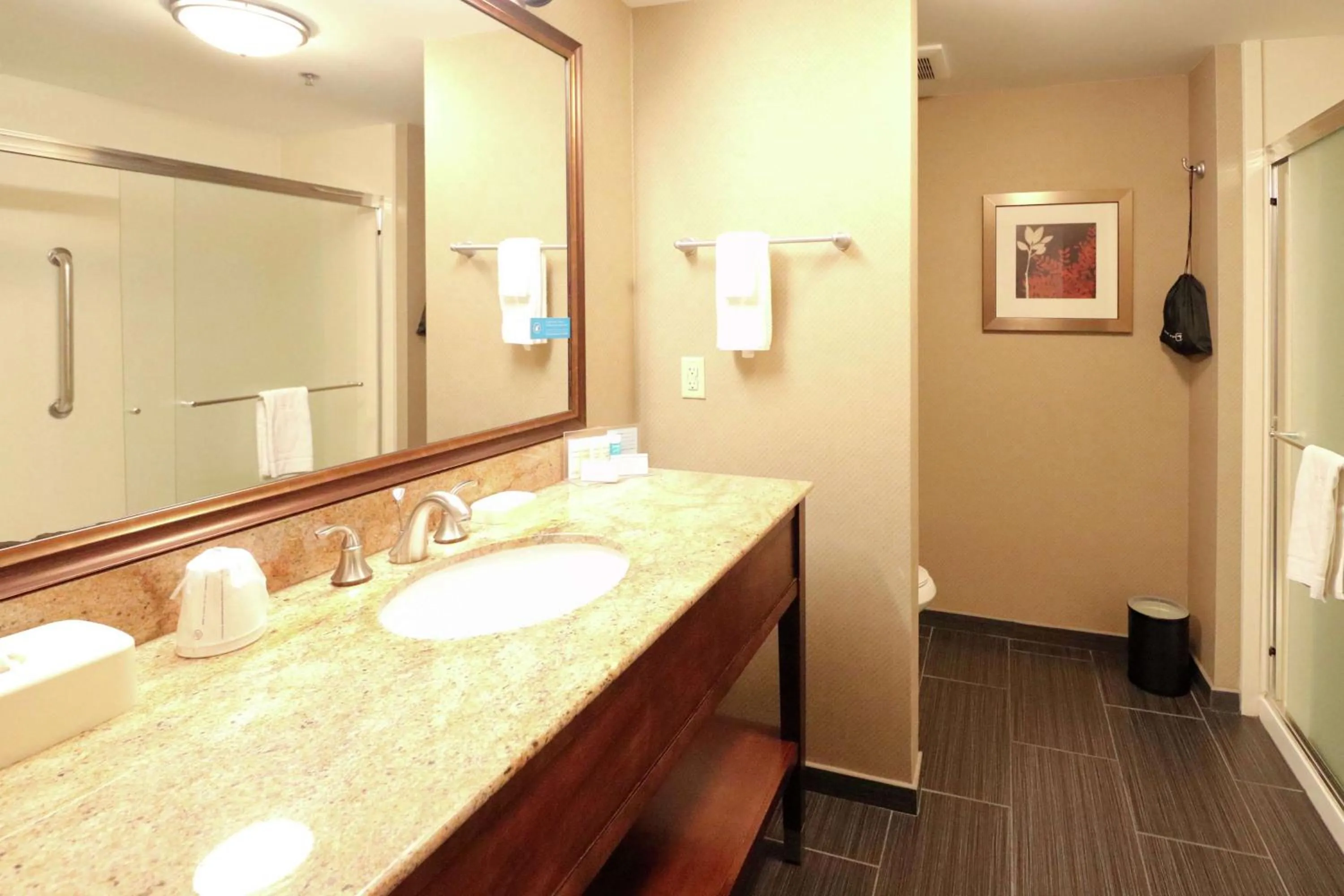 Bathroom in Hampton Inn Columbus-South