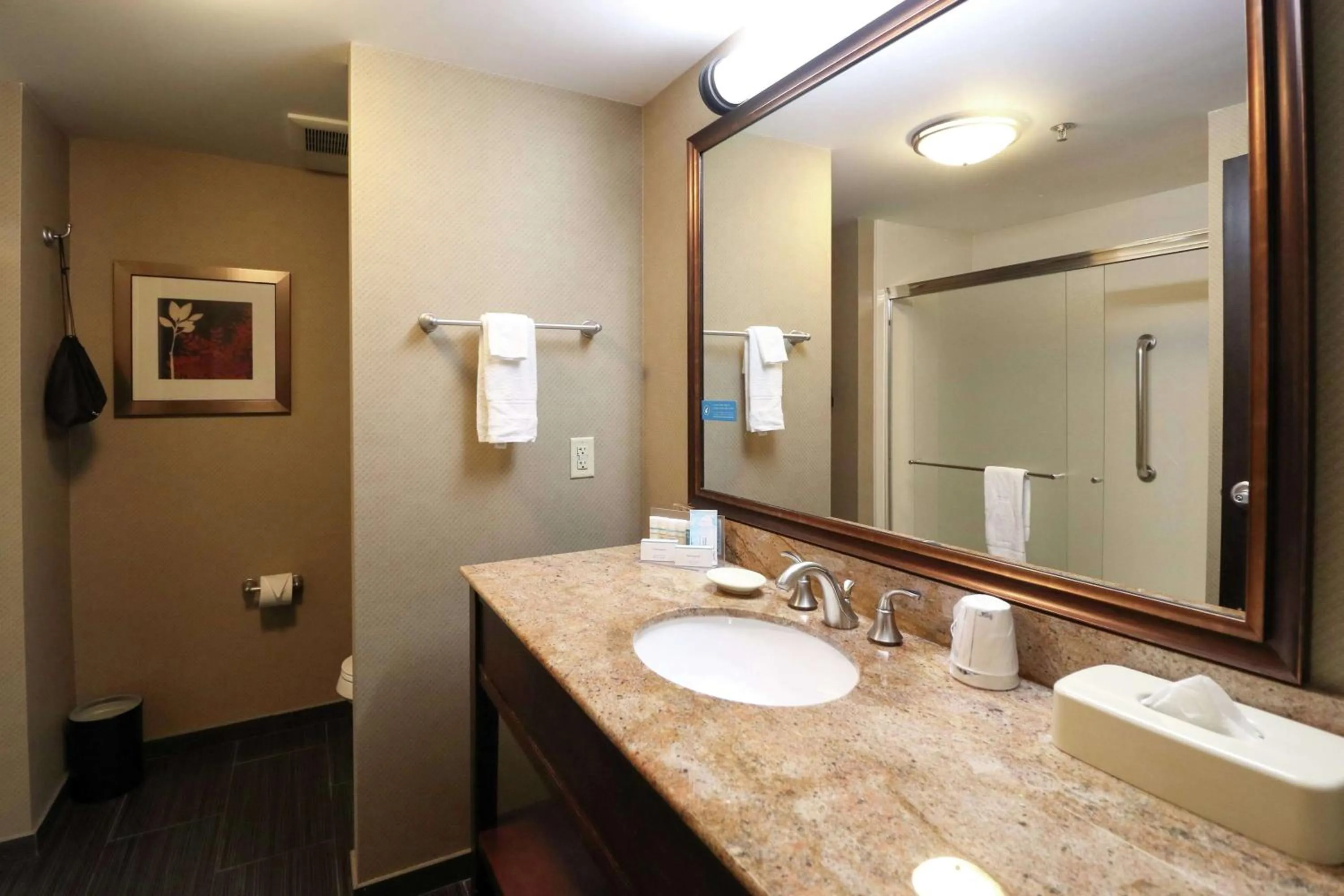Bathroom in Hampton Inn Columbus-South