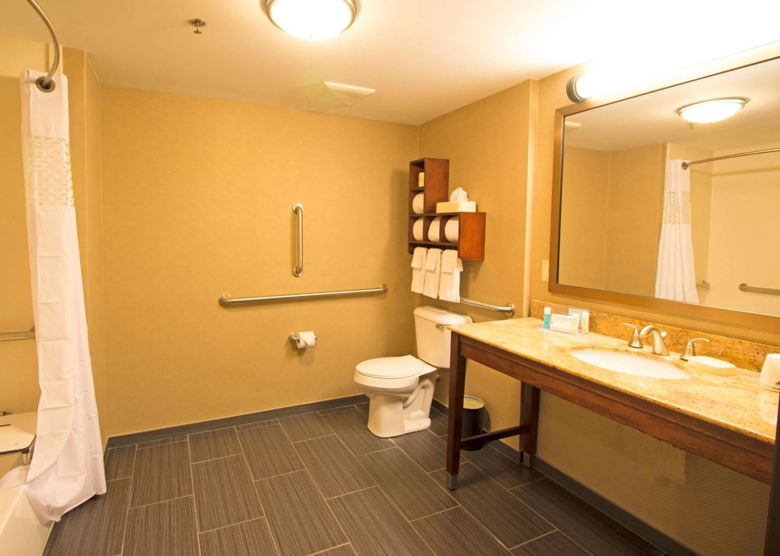Bathroom in Hampton Inn Columbus-South