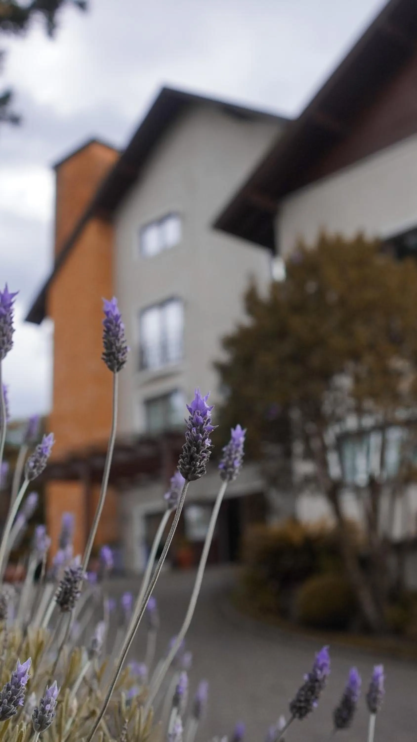Property building in Hotel Gramado Interlaken
