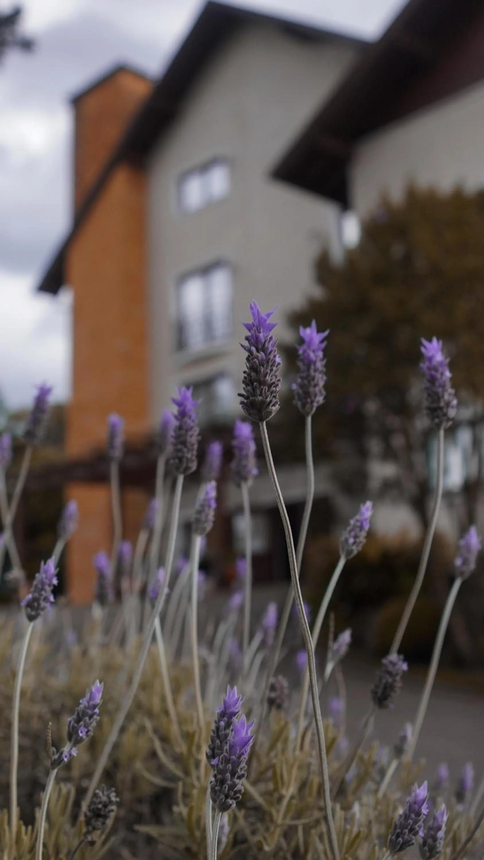 Hotel Gramado Interlaken