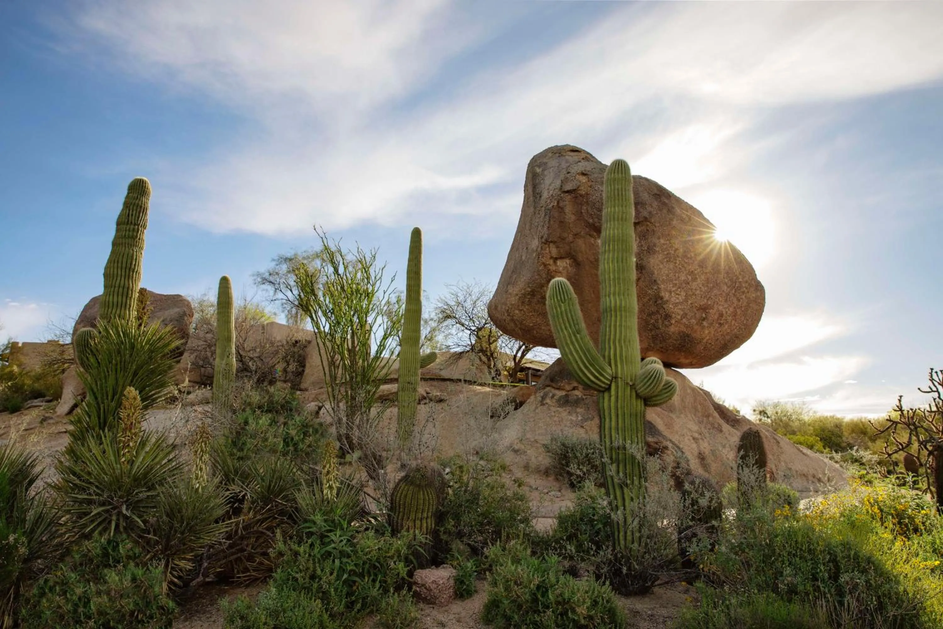 Boulders Resort & Spa Scottsdale, Curio Collection by Hilton