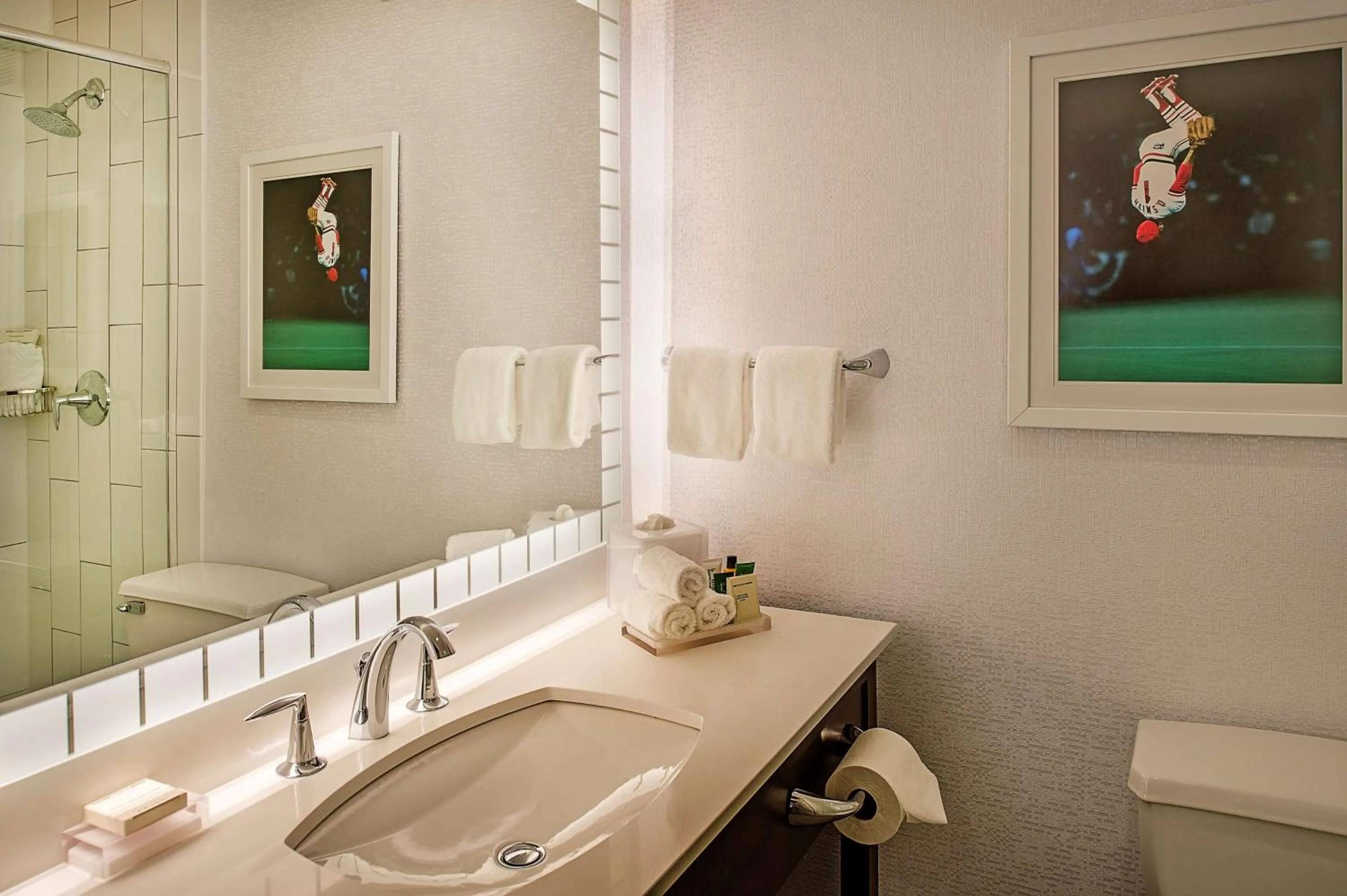 Bathroom in Hilton St. Louis at the Ballpark