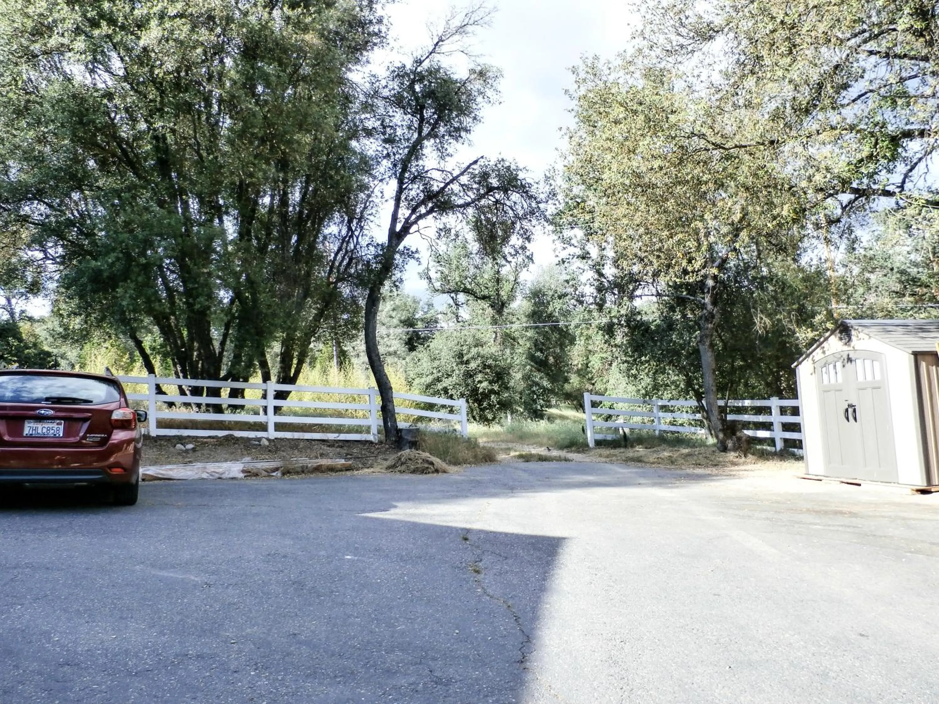 View (from property/room) in Charming Downstairs Unit