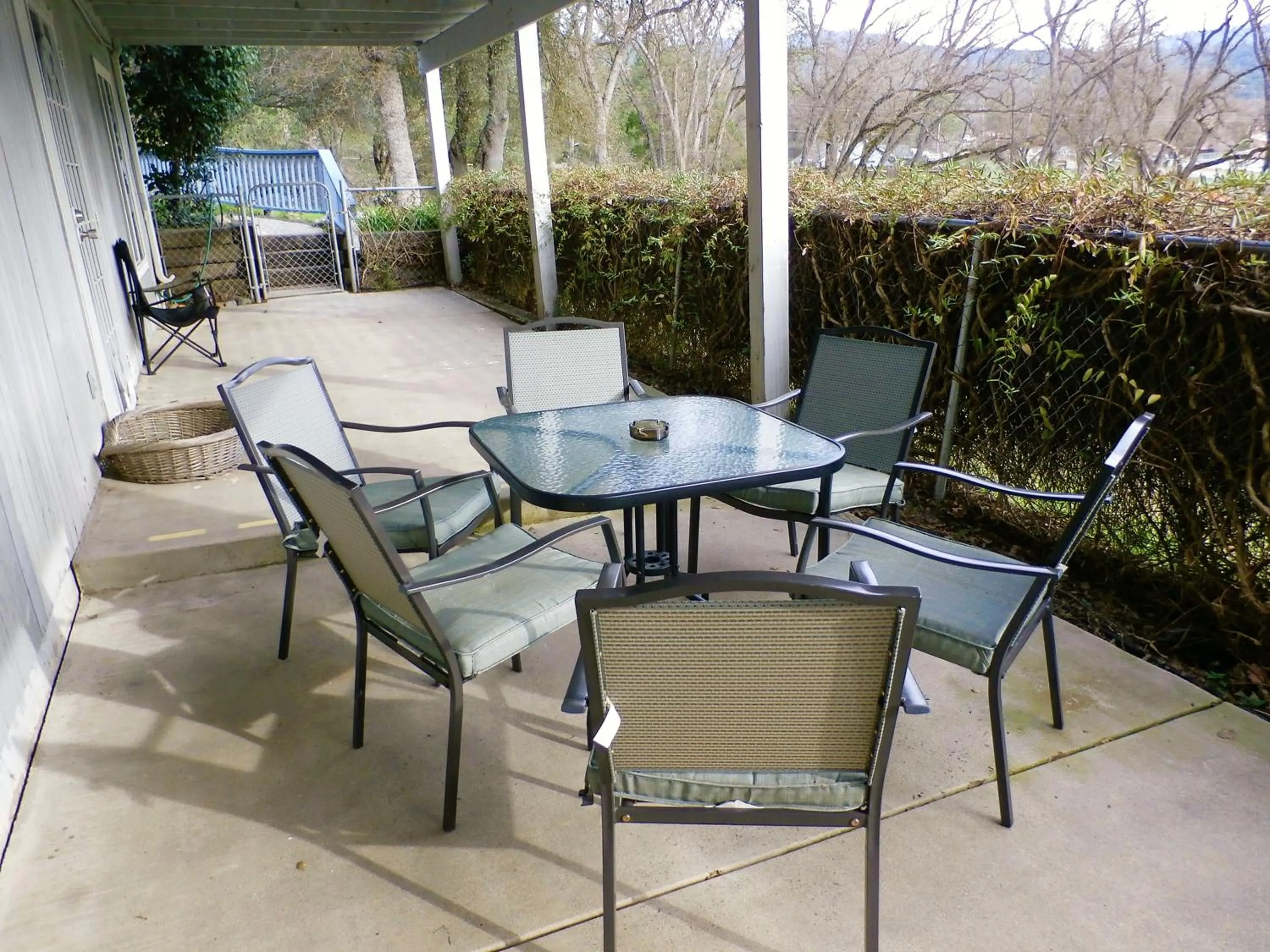 Patio in Charming Downstairs Unit