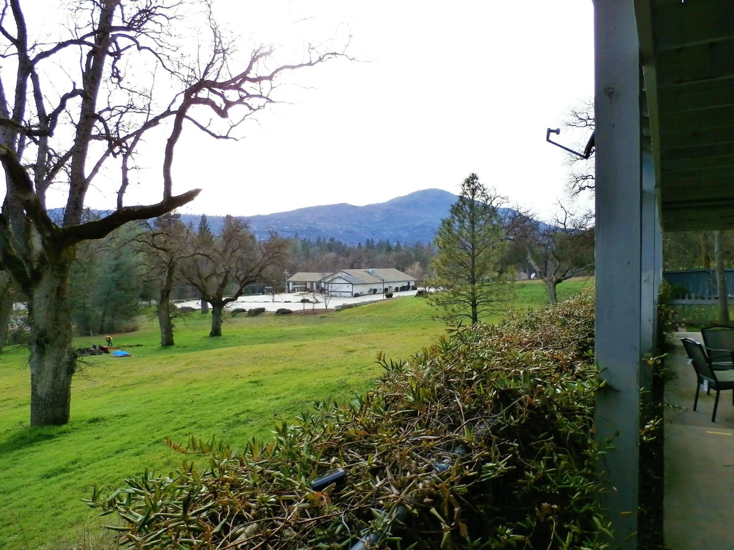 Landmark view in Charming Downstairs Unit