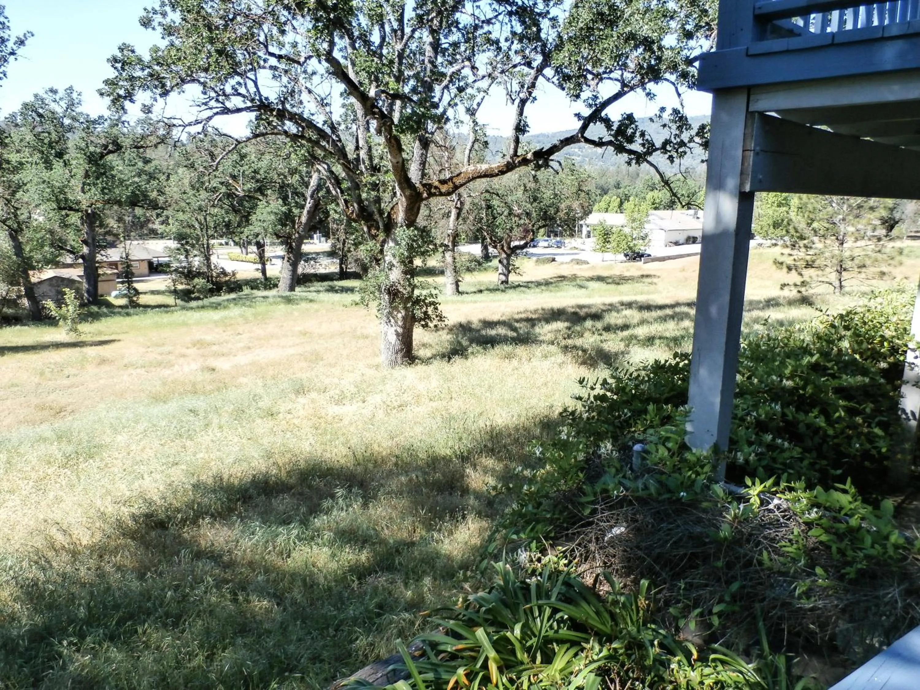 Landmark view in Charming Downstairs Unit
