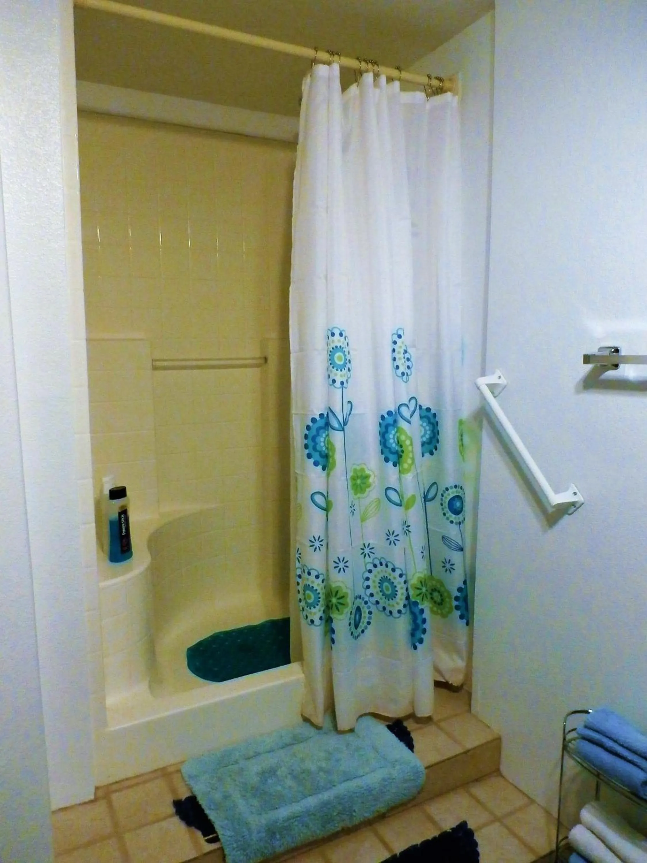 Bathroom in Charming Downstairs Unit