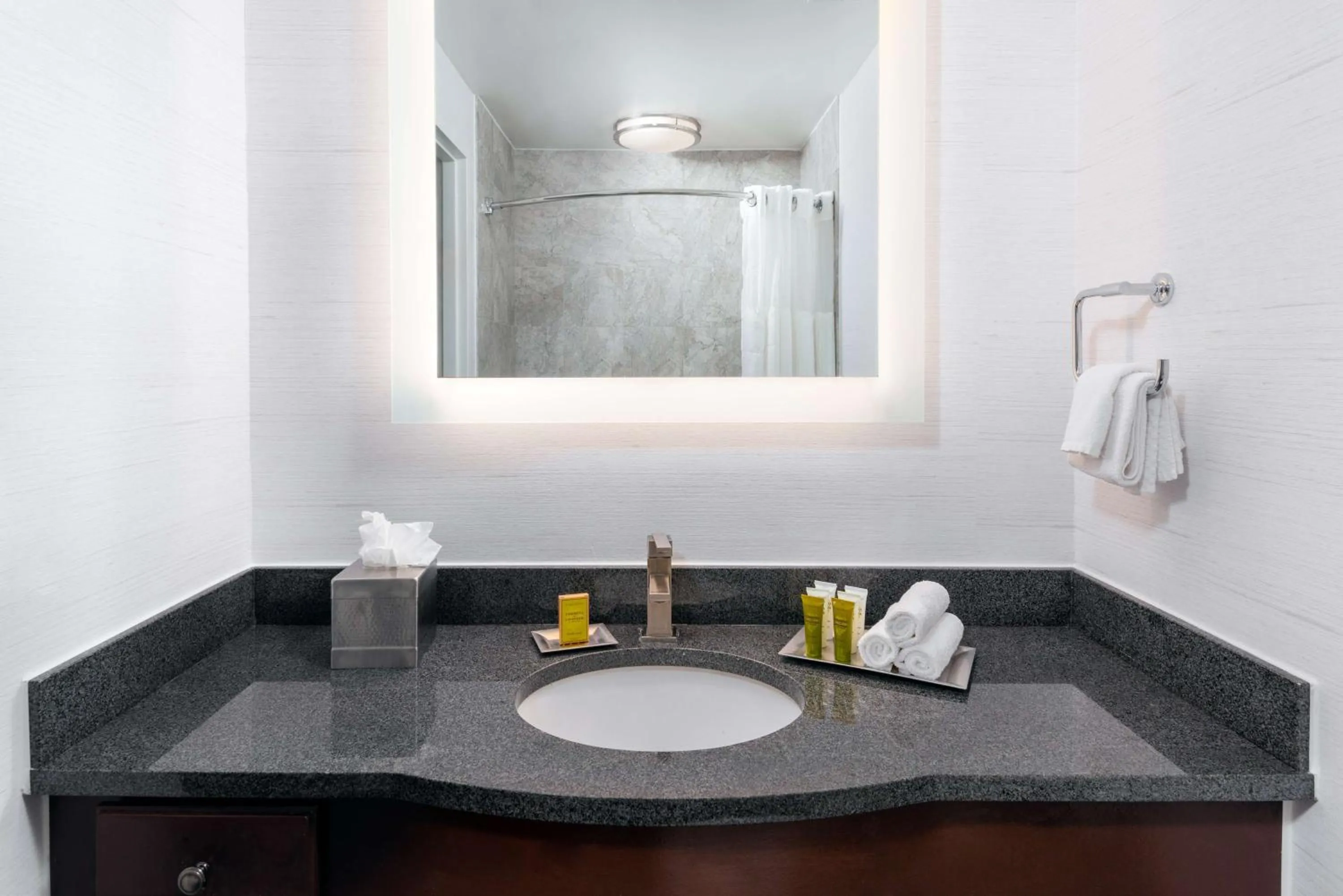 Bathroom in Hilton Pennywell St Louis at the Arch