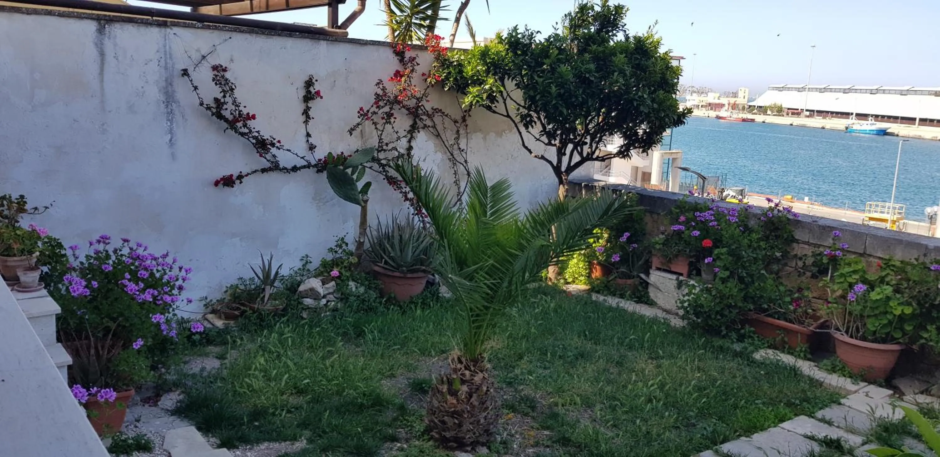 Garden view in La Casa Sul Porto
