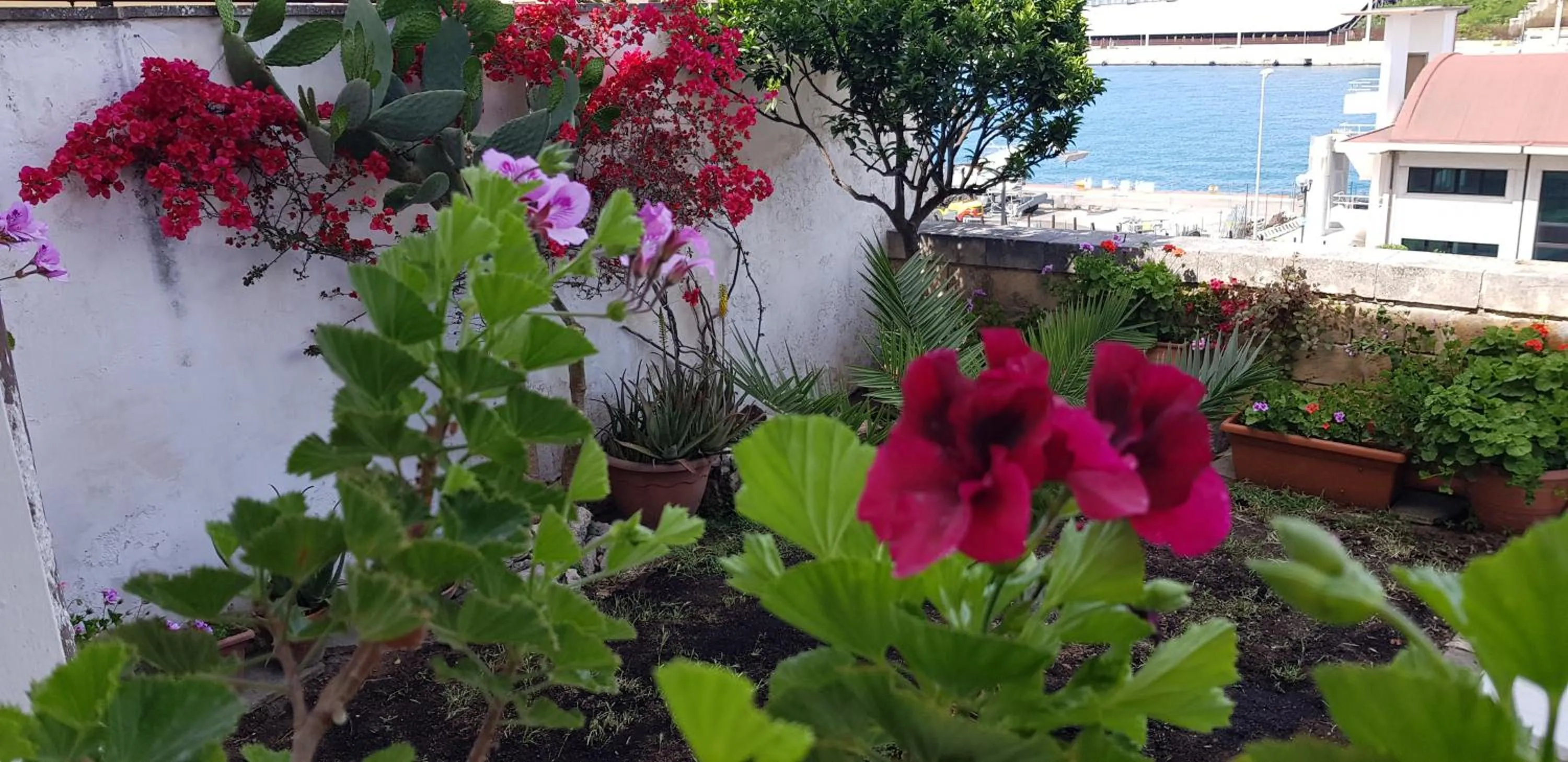 Garden view in La Casa Sul Porto