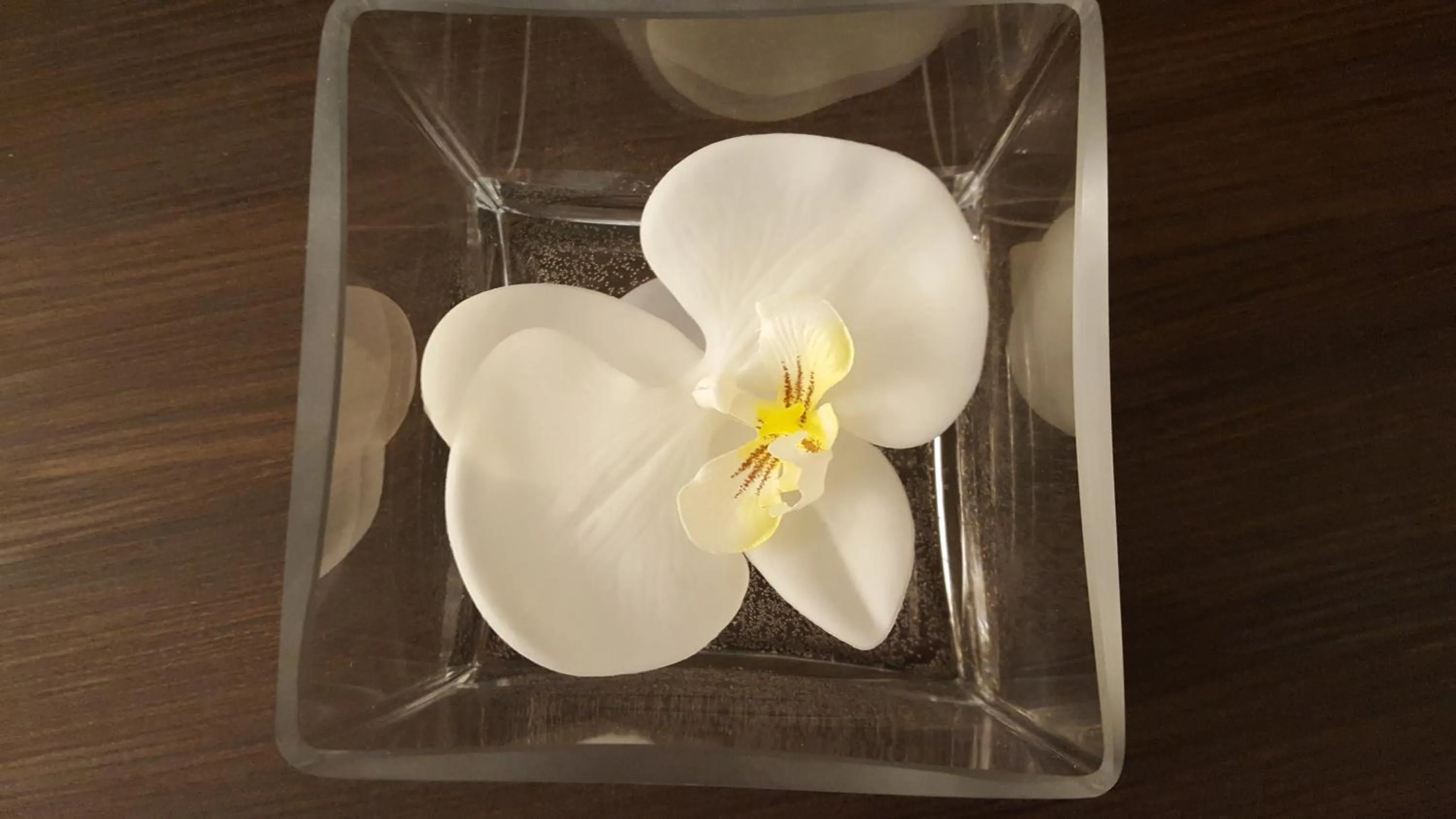 Decorative detail in Una Finestra su Monti