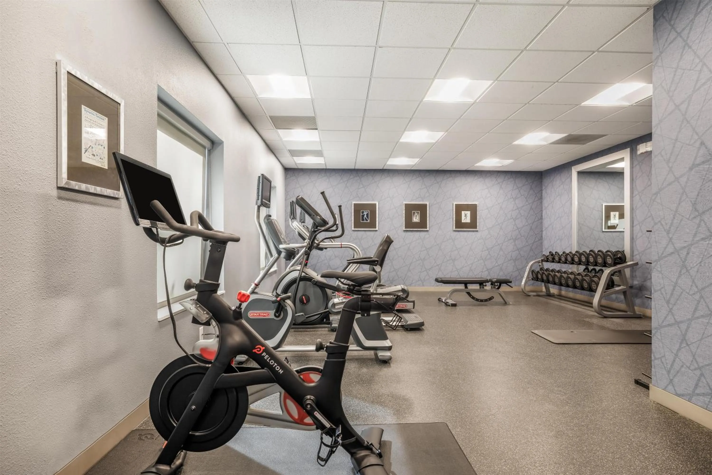 Fitness centre/facilities in Homewood Suites Dallas-Frisco