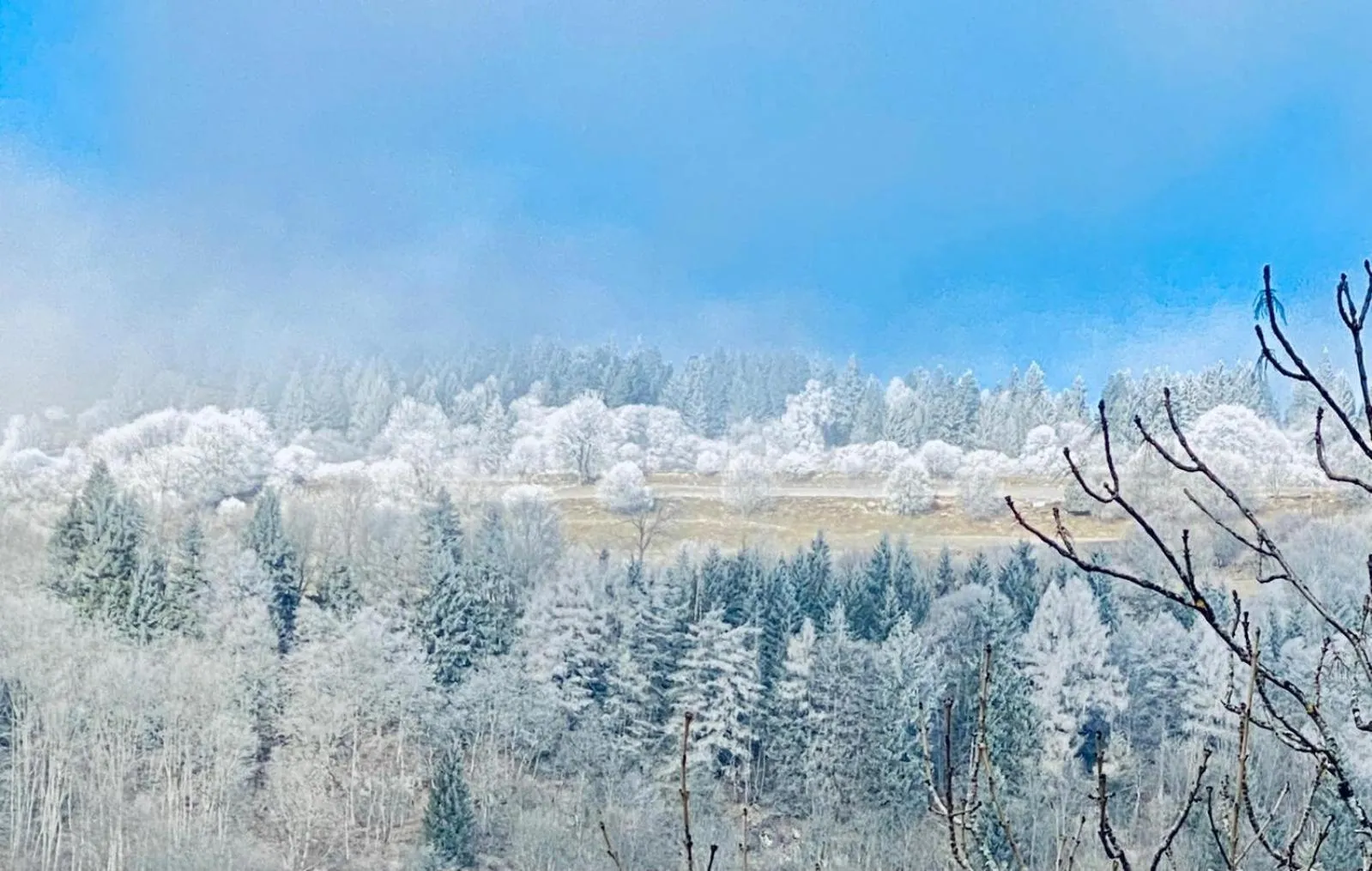 Hôtel Restaurant du Plomb du Cantal