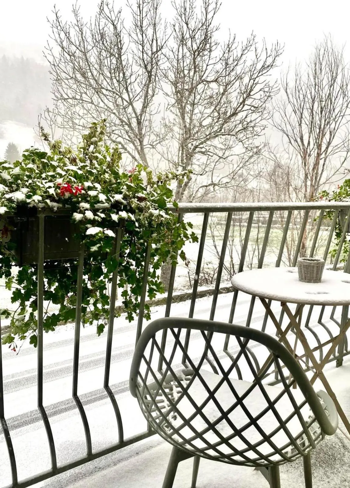 Hôtel Restaurant du Plomb du Cantal