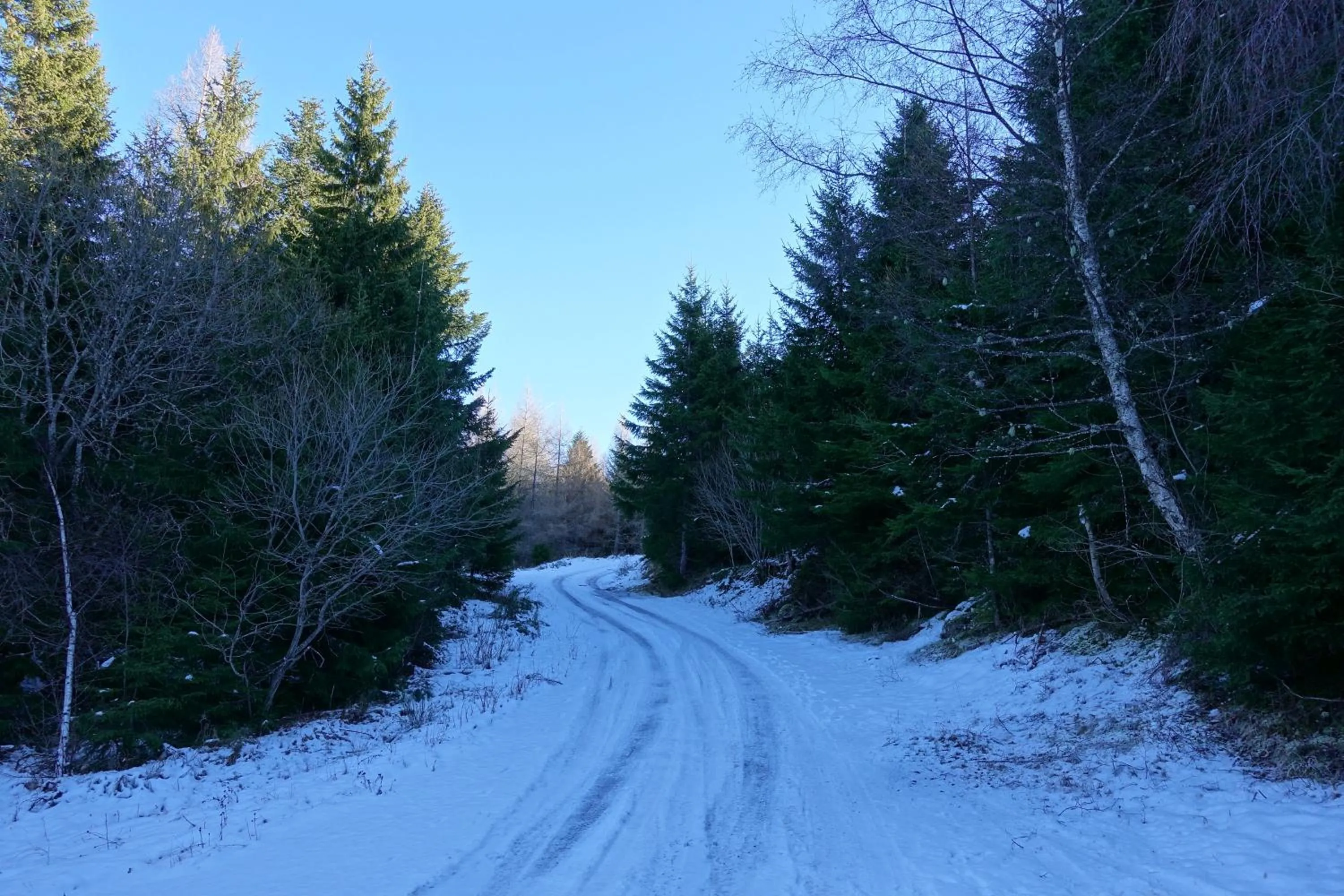 Hôtel Restaurant du Plomb du Cantal