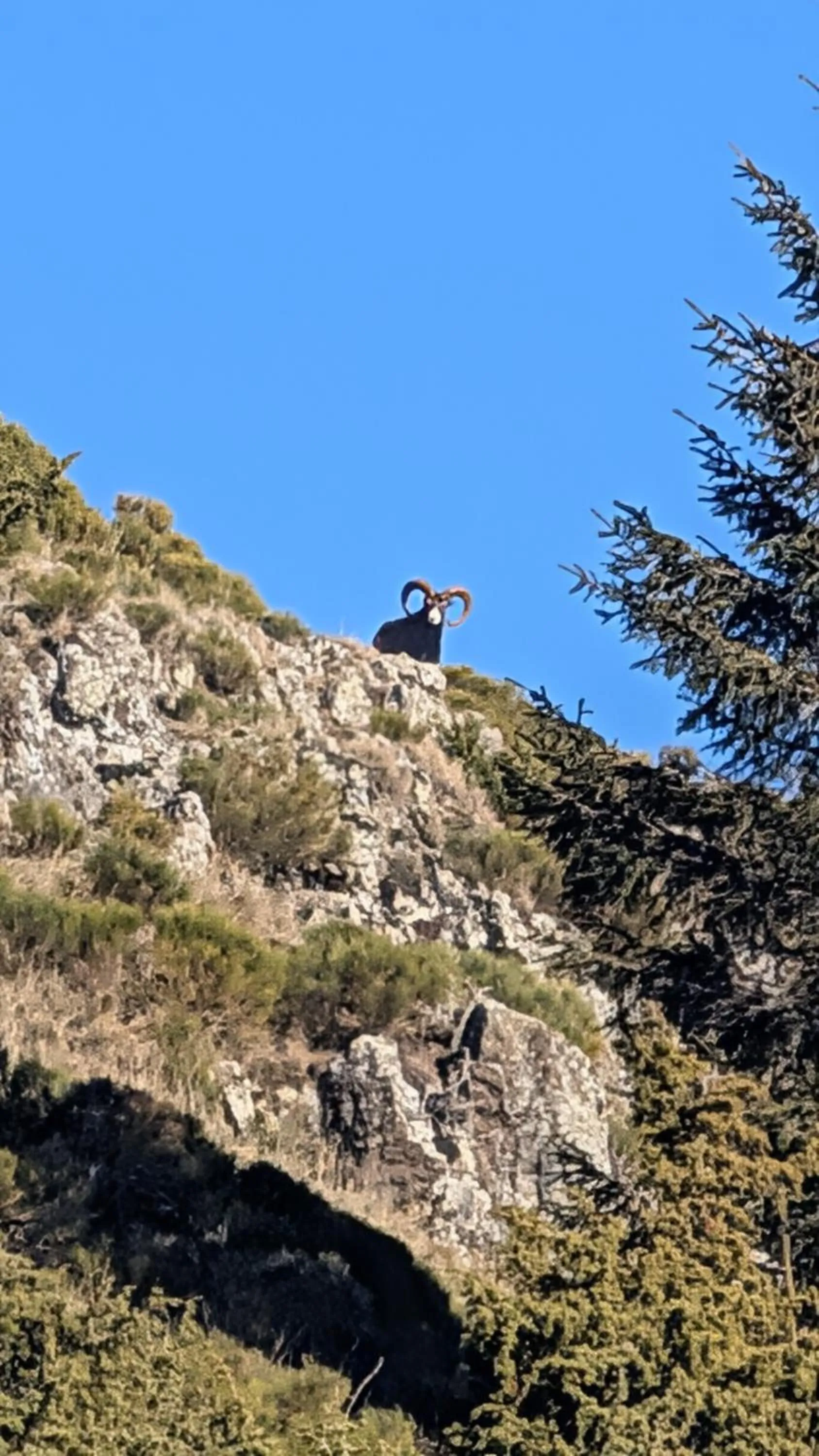 Hôtel Restaurant du Plomb du Cantal