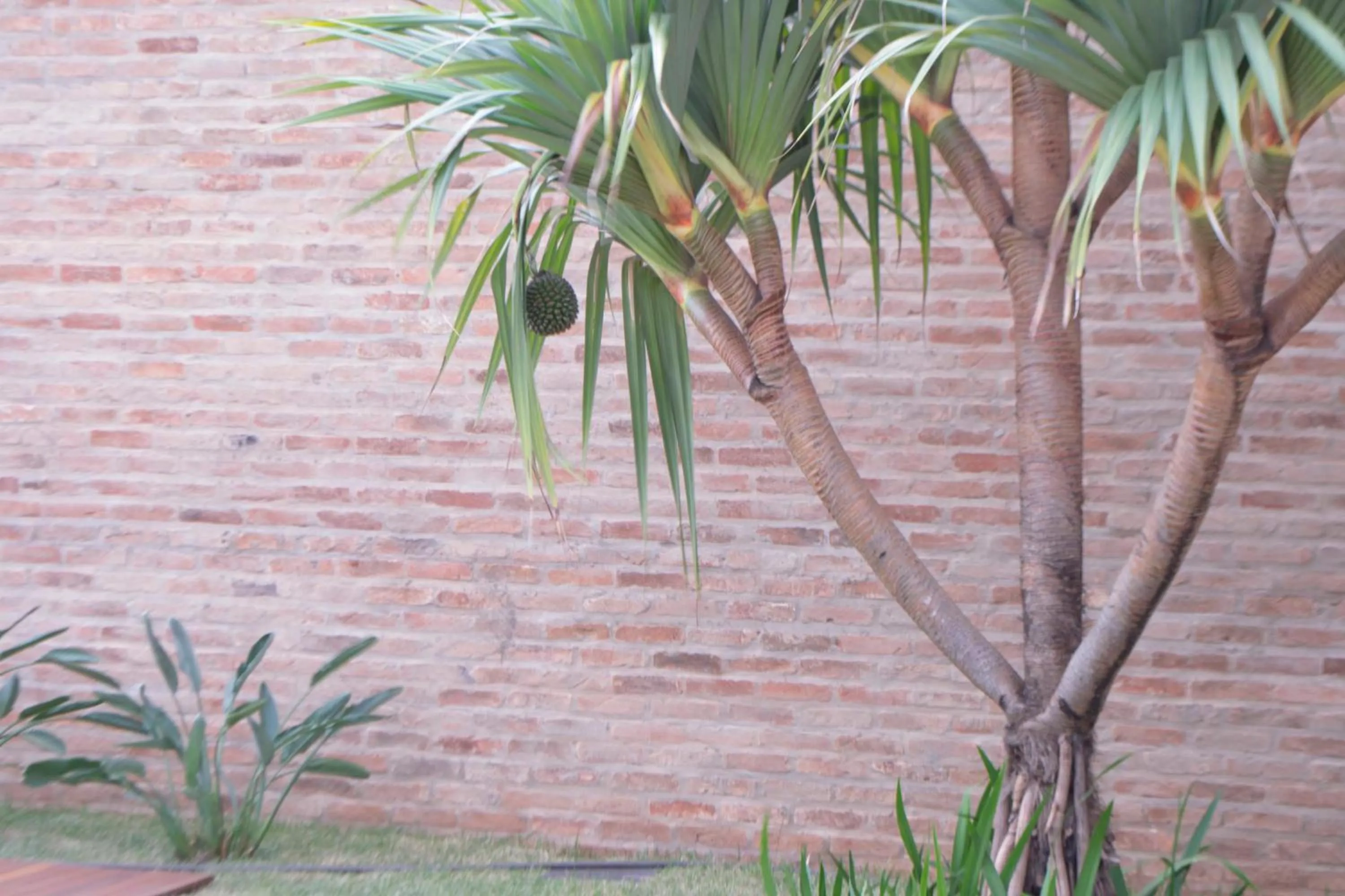 Other in Galeria hotel