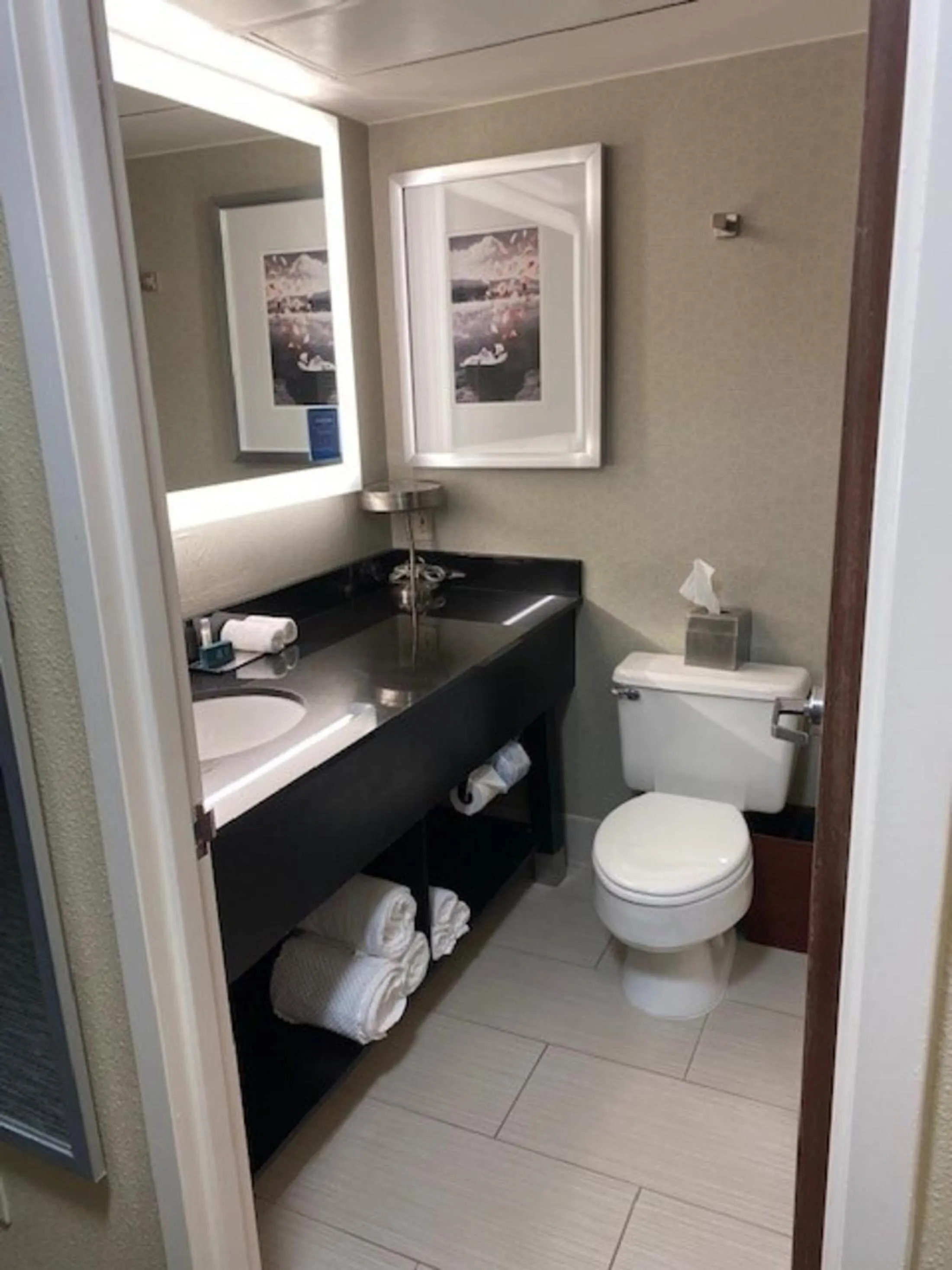 Bathroom in DoubleTree by Hilton Hotel Detroit Novi