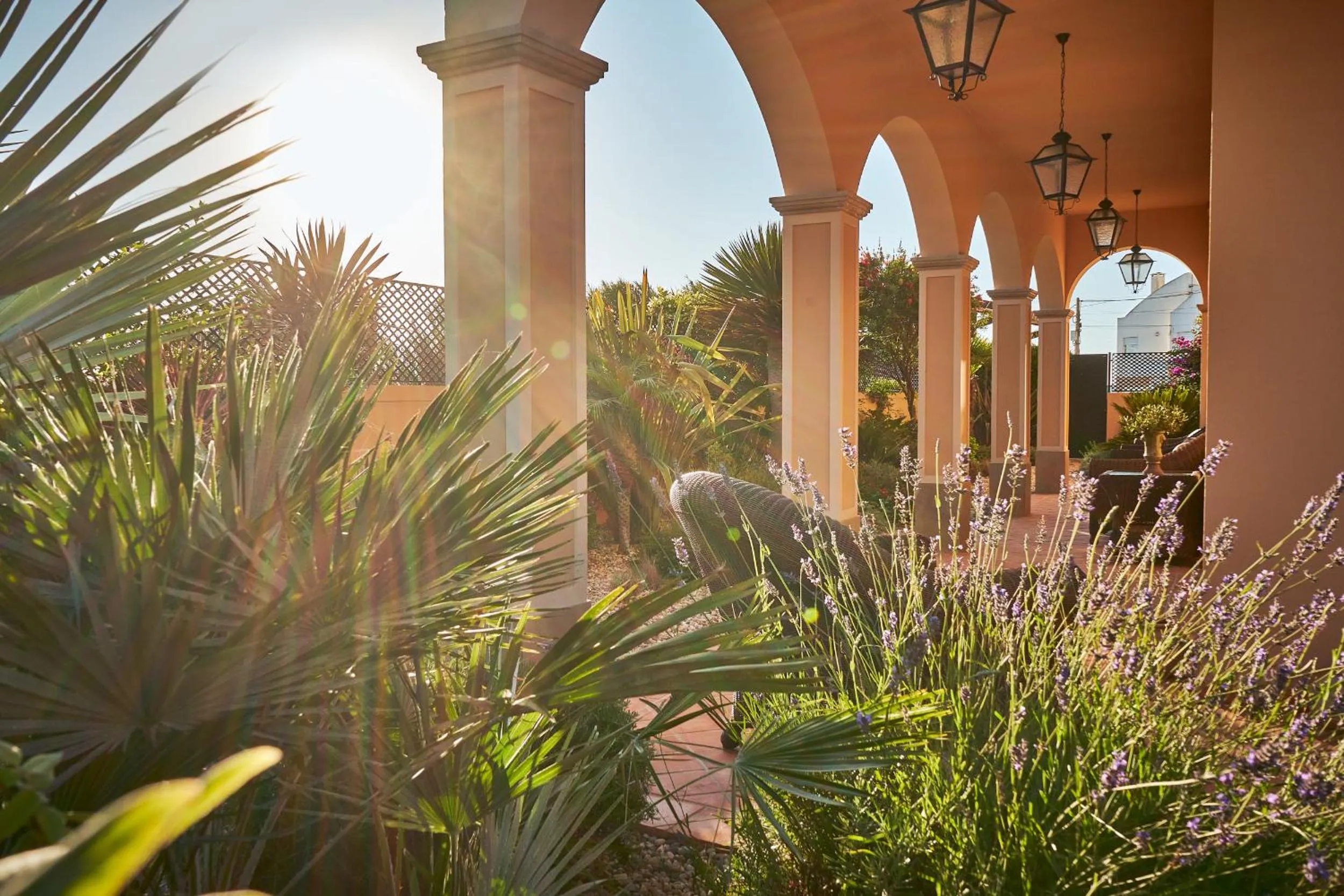 Garden in Silver Coast Beach Residence