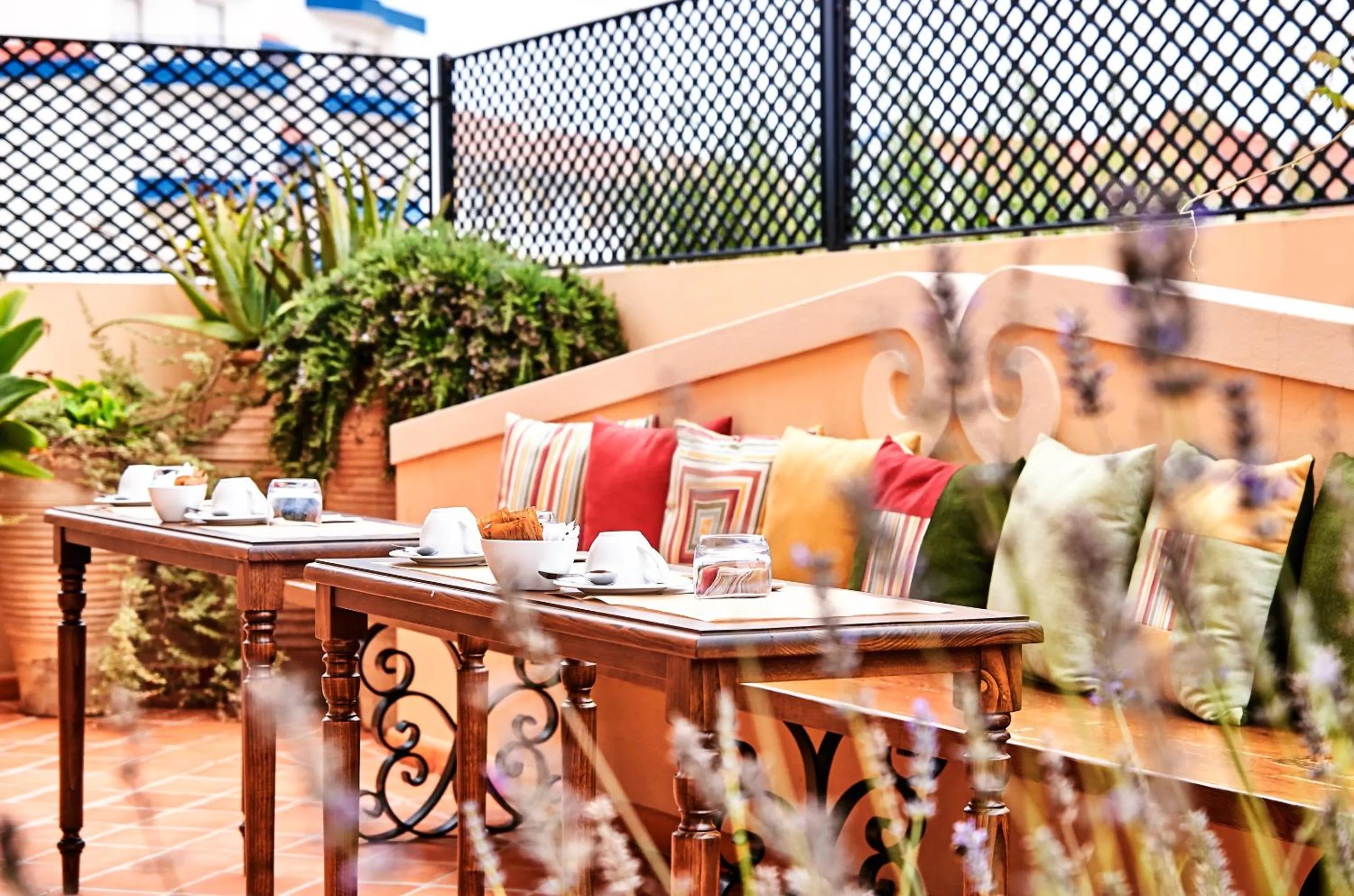 Garden in Silver Coast Beach Residence