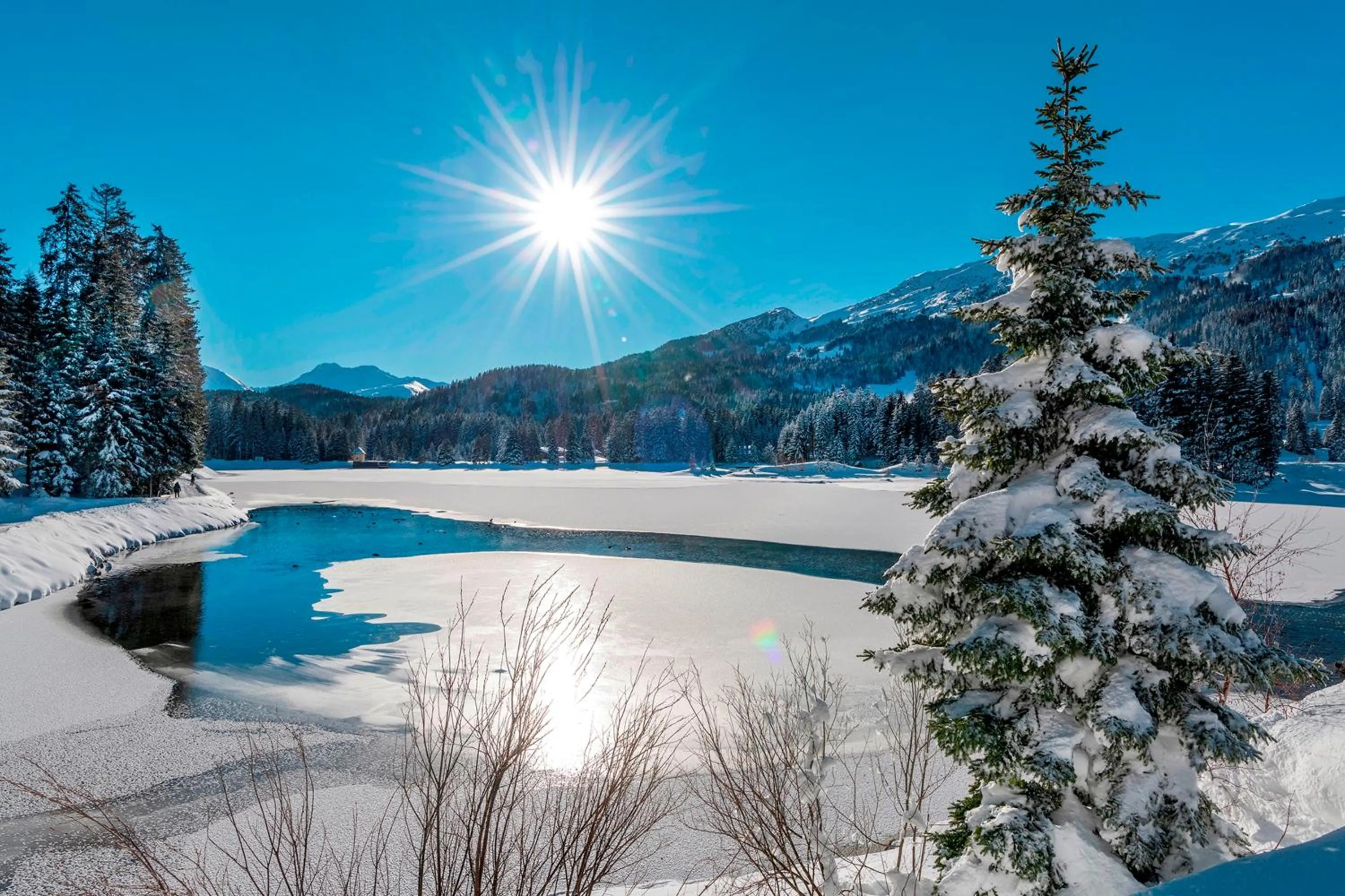 Winter in Hotel Schweizerhof Lenzerheide