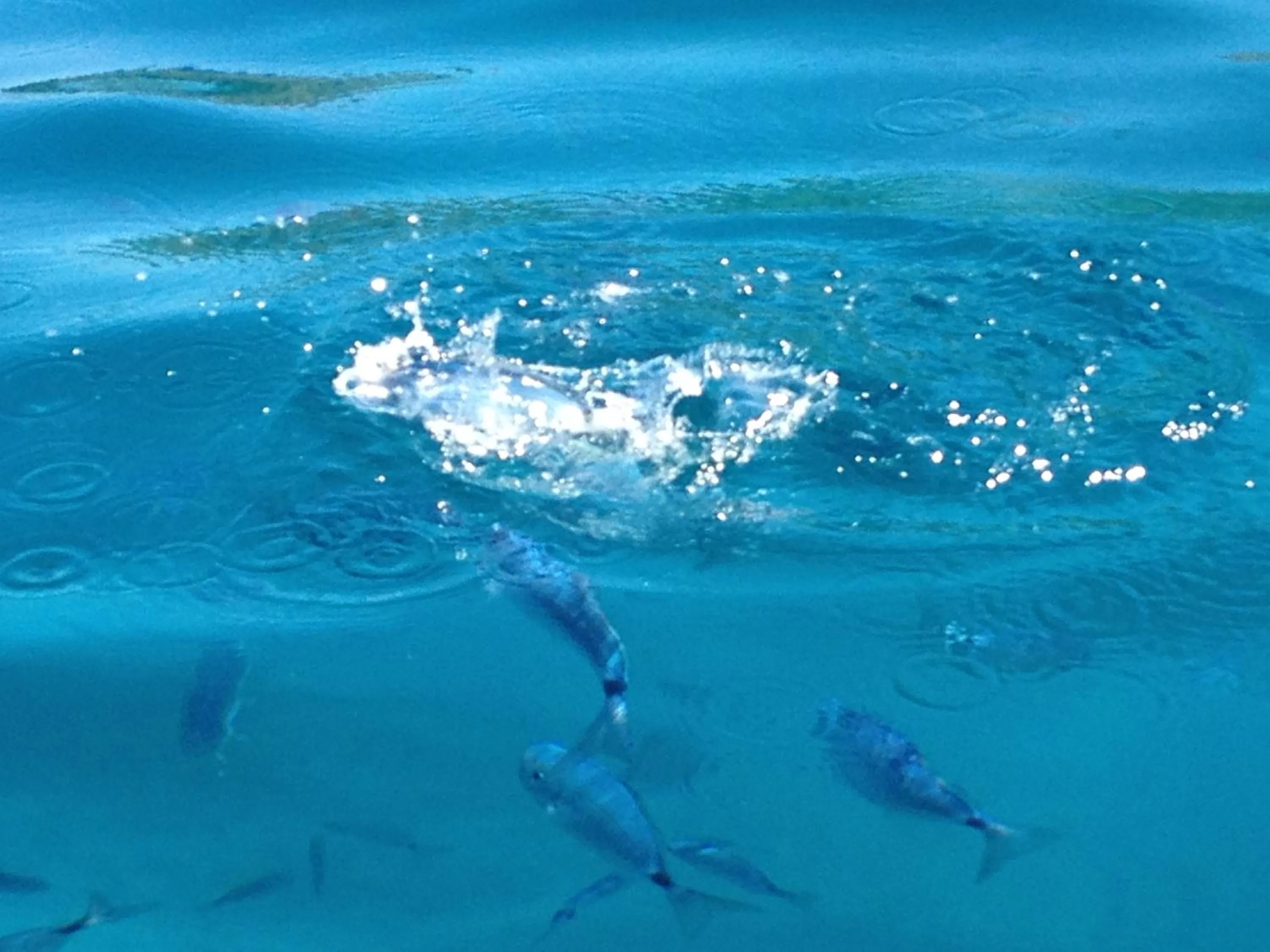 Summer in Hellas Makari B&B