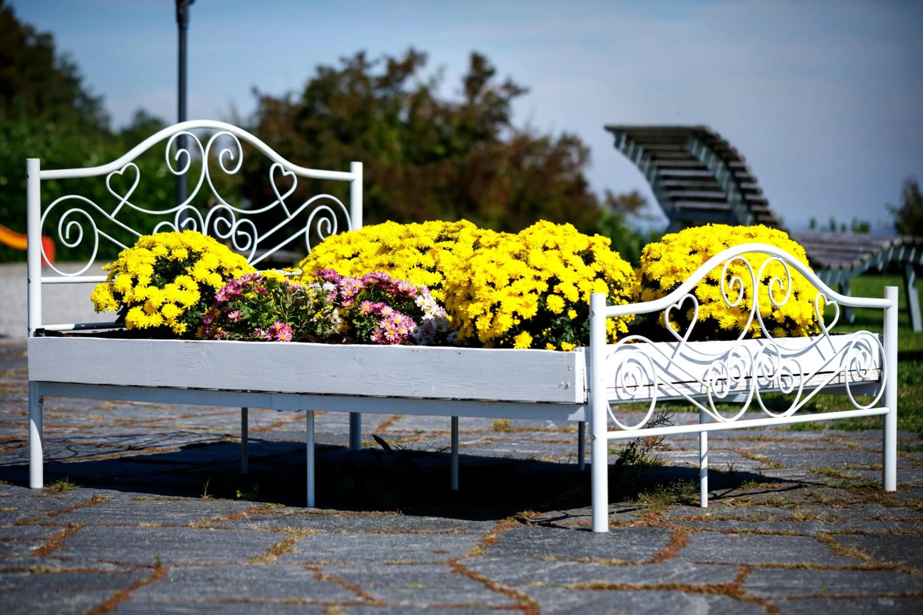 Garden view in Hotel Wassberg - Self-Check-in
