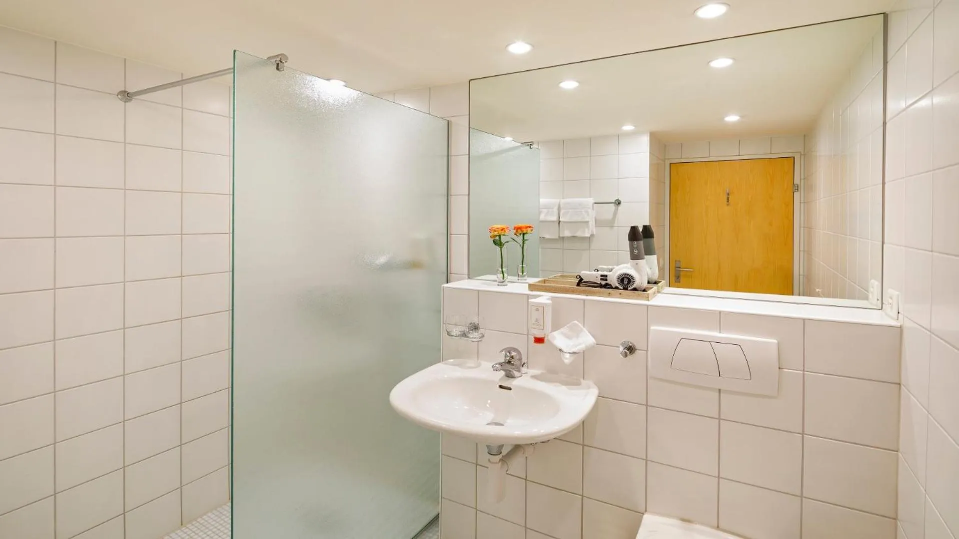 Shower in Hotel Boldern