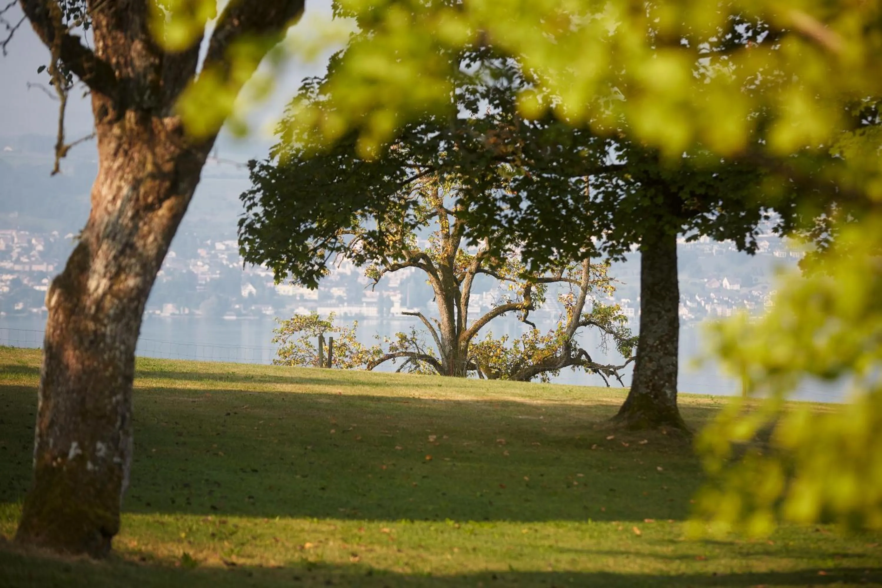 Natural landscape in Hotel Boldern