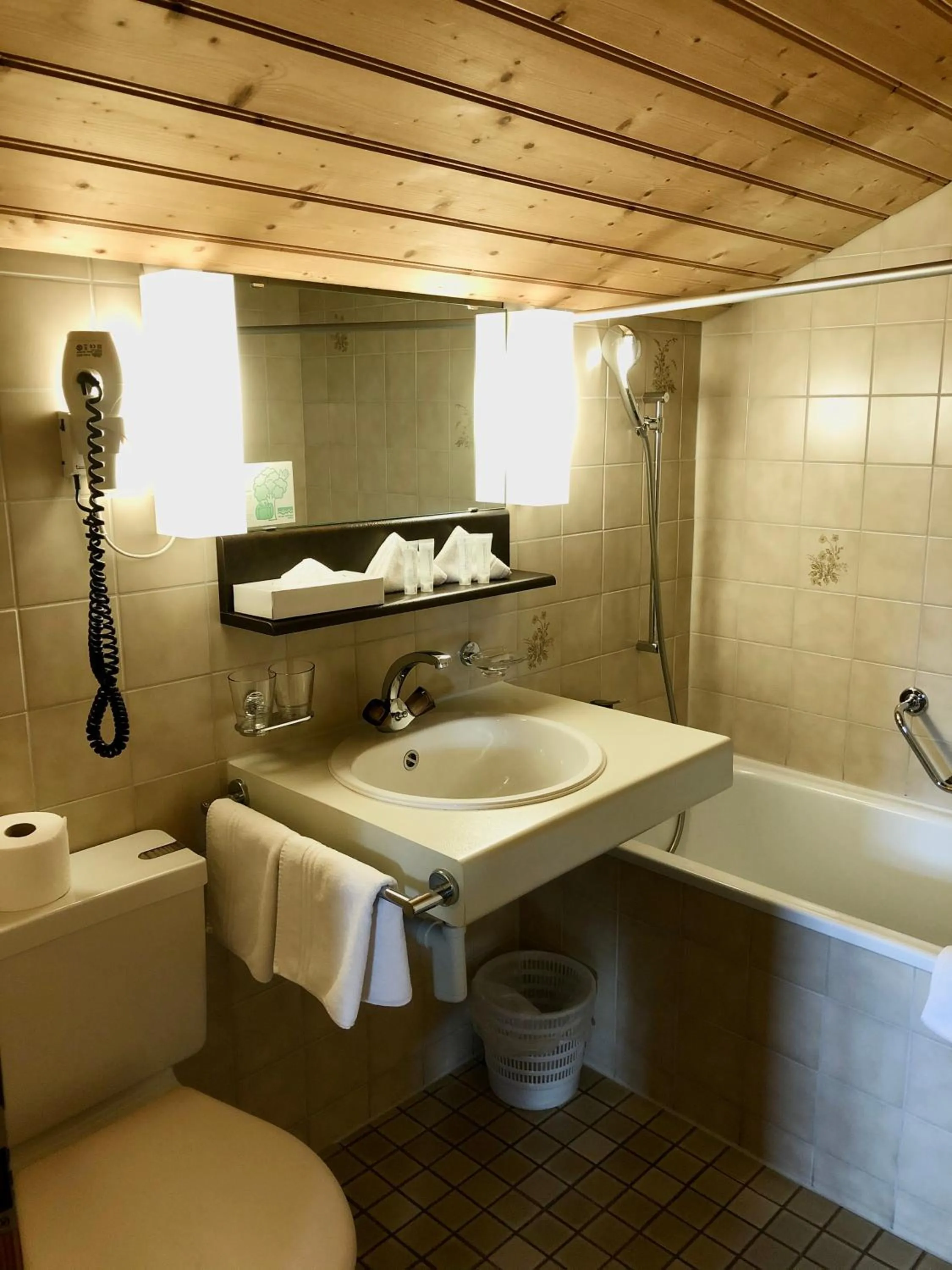 Toilet in Hotel Châlet Du Lac