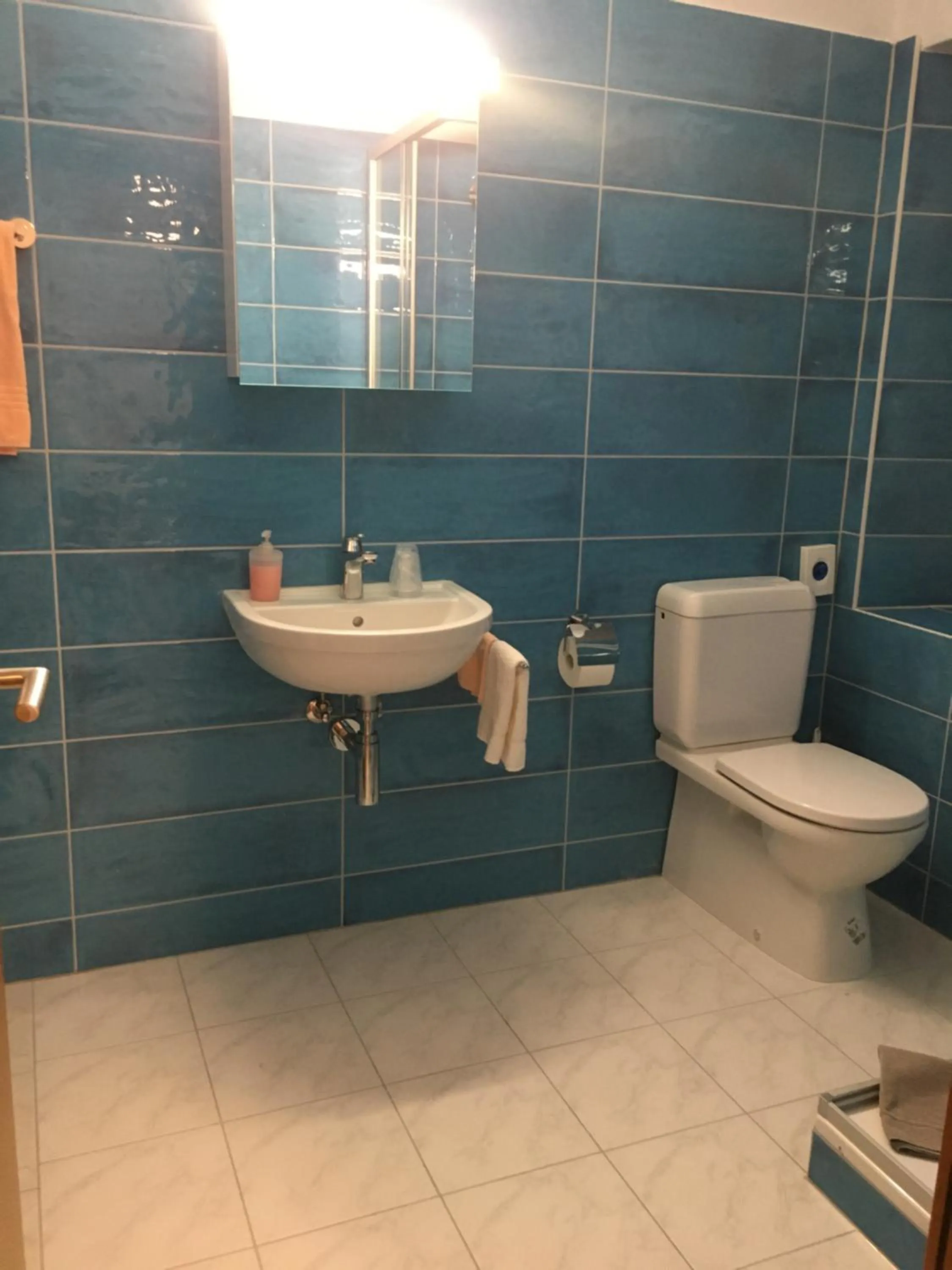 Shower in Hotel Ristorante Baldi