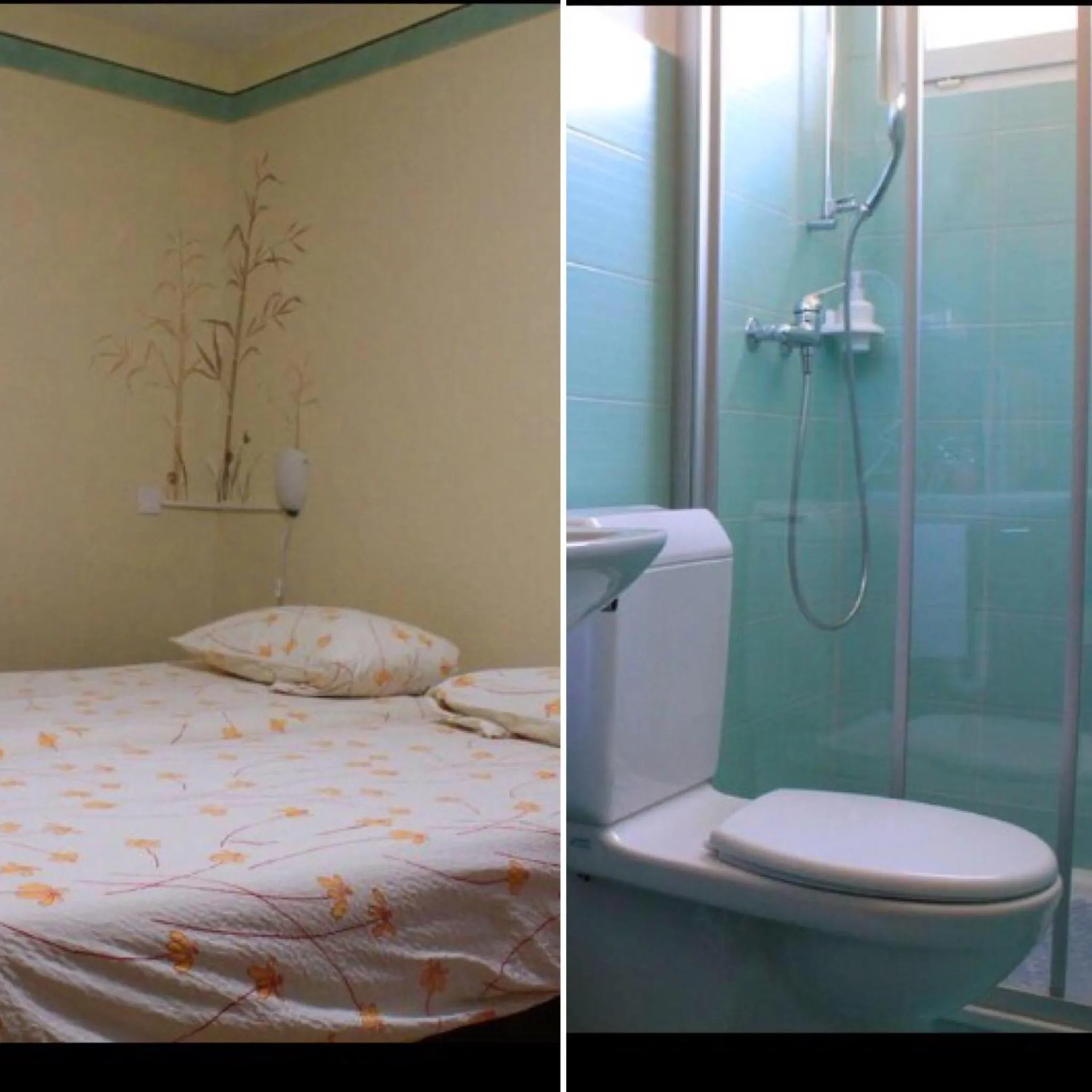 Shower, Bed in Hotel Ristorante Baldi