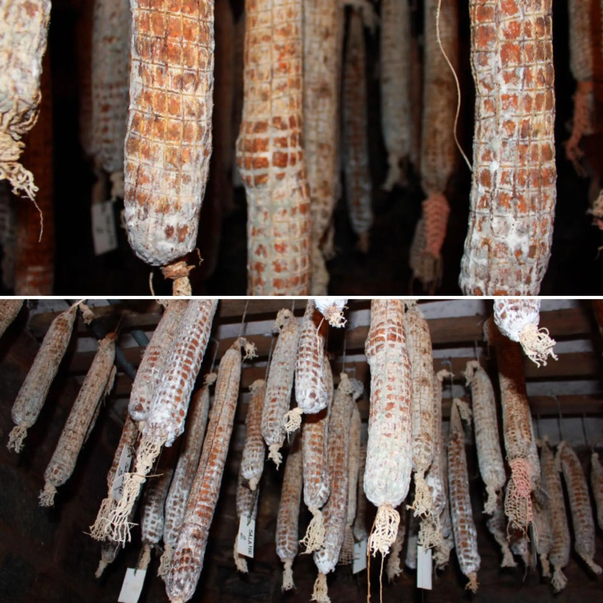 Meals in Hotel Ristorante Baldi