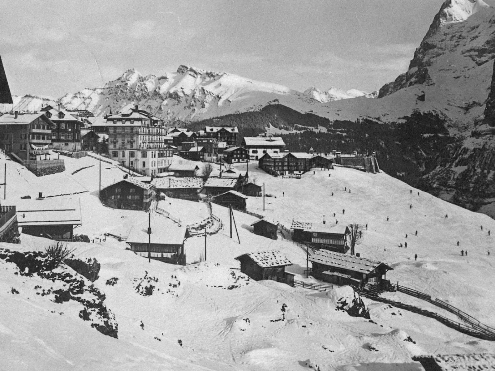 Area and facilities in Hotel Regina