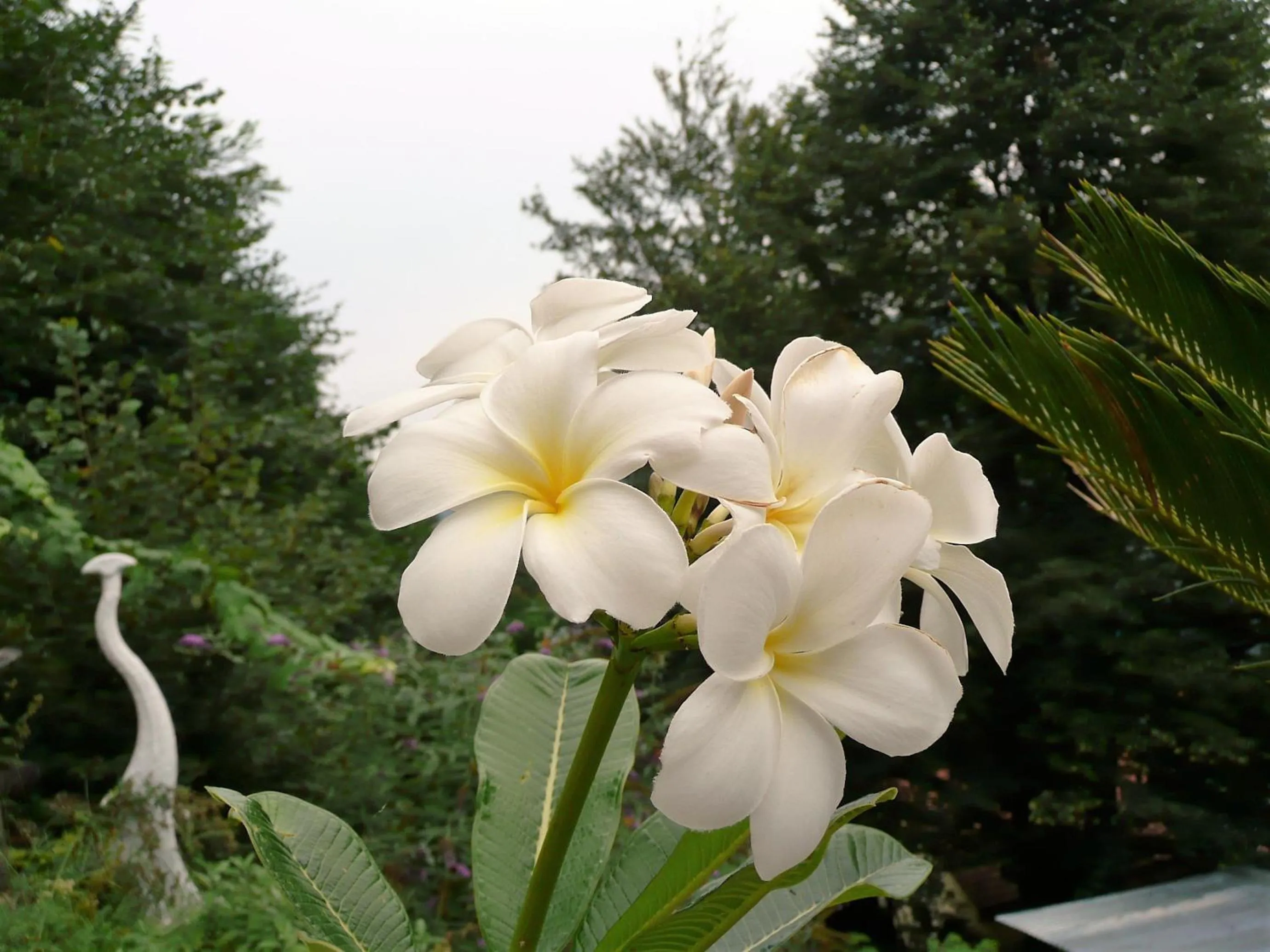 Decorative detail in Eco Hotel Locanda del Giglio