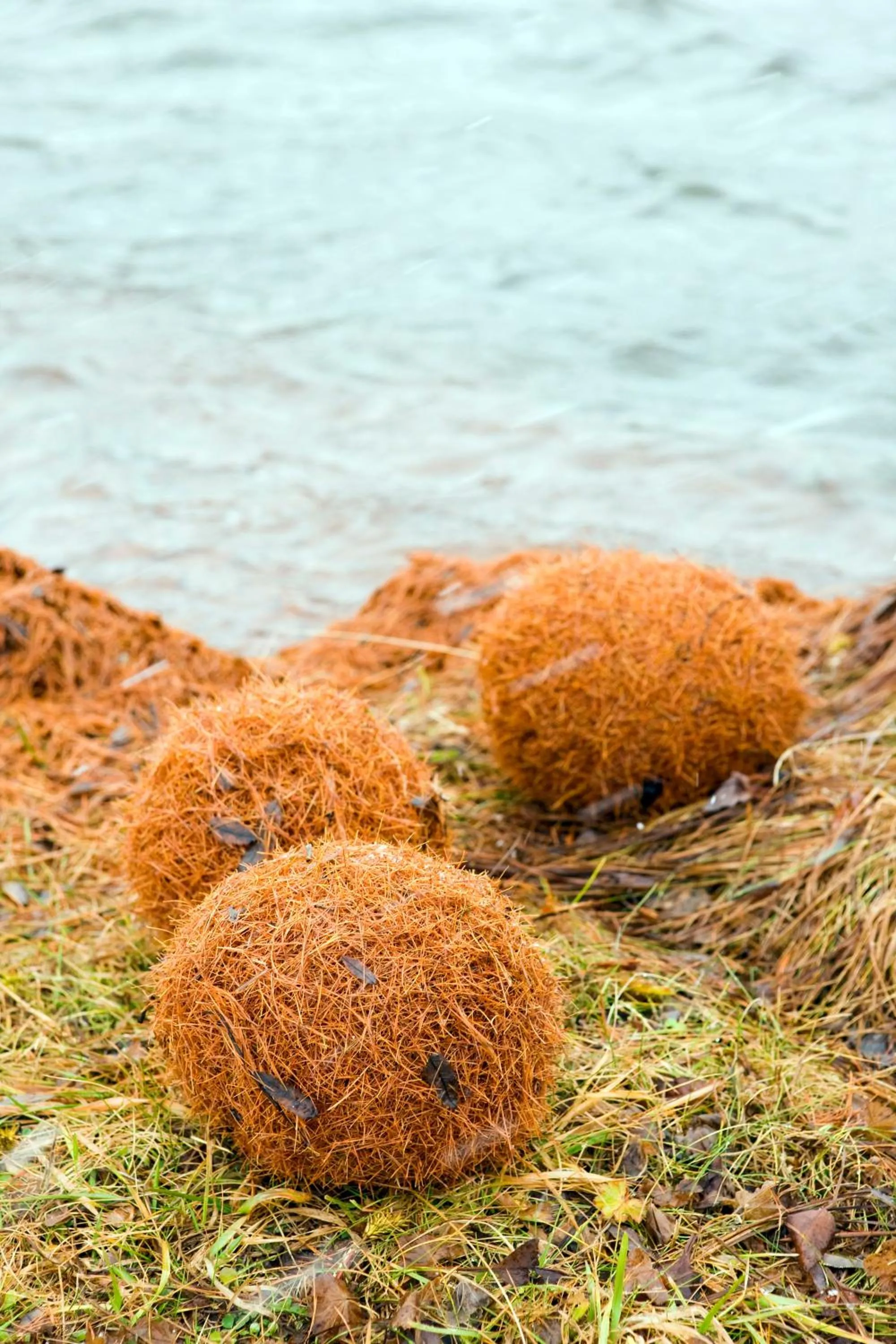 Autumn in Hotel Chesa Surlej