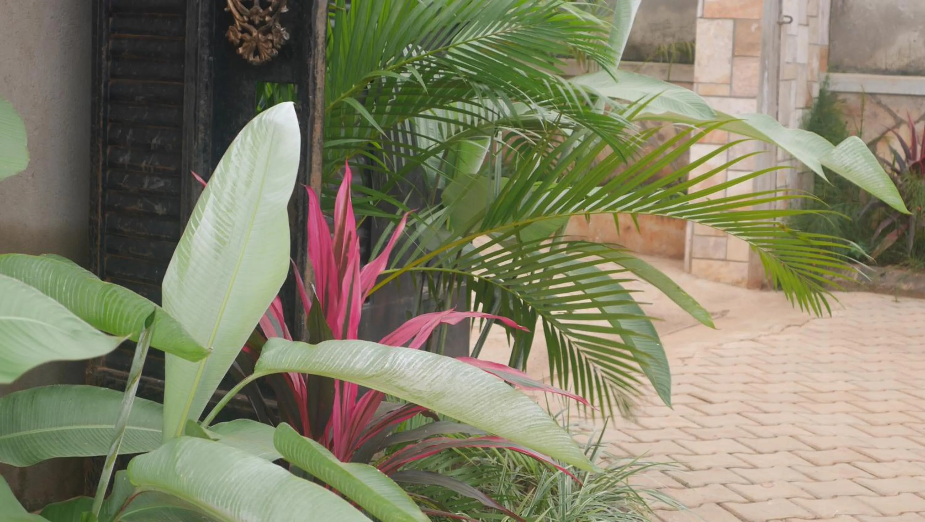 Other in Ntinda View Apartments