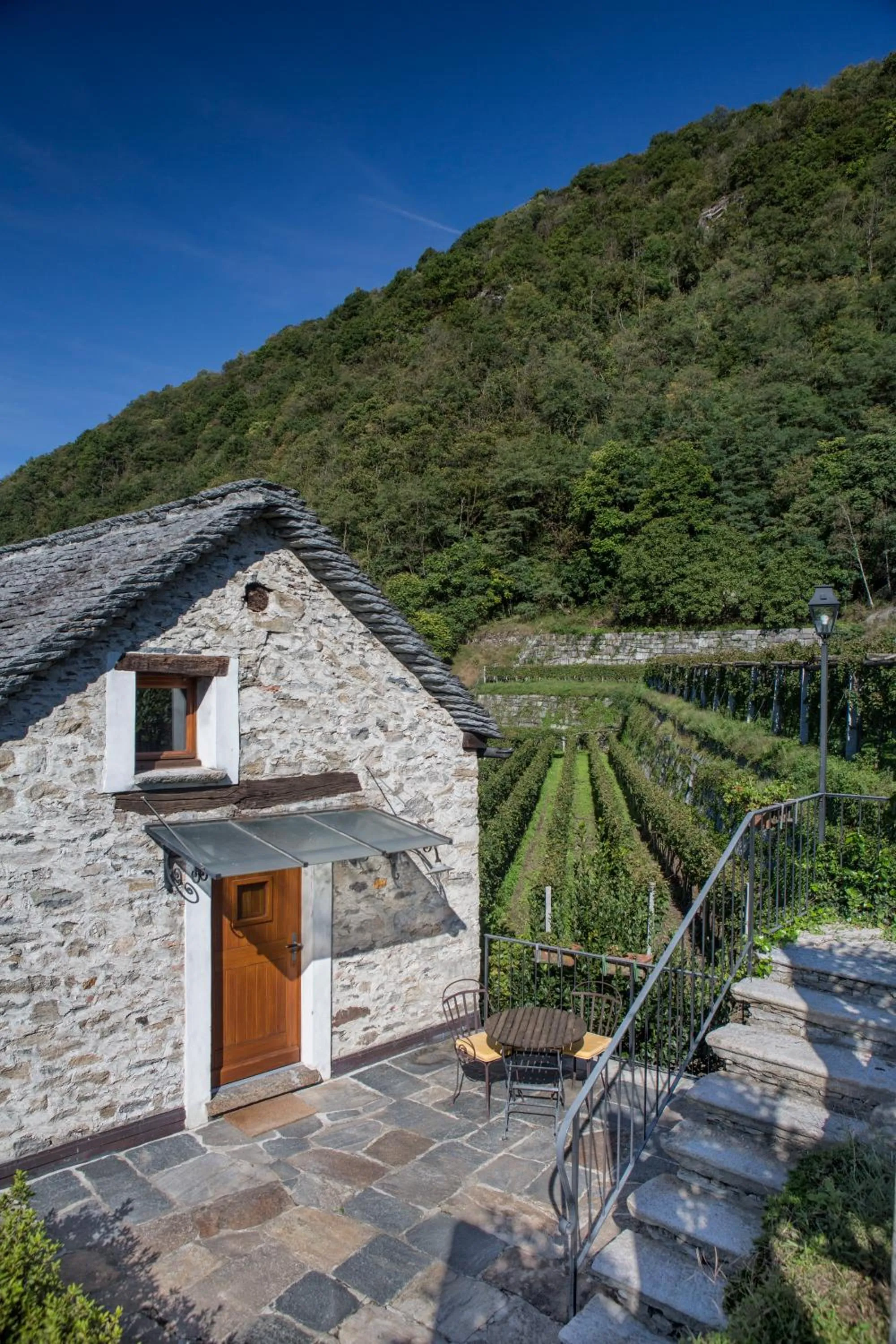 Patio in Fattoria l'Amorosa