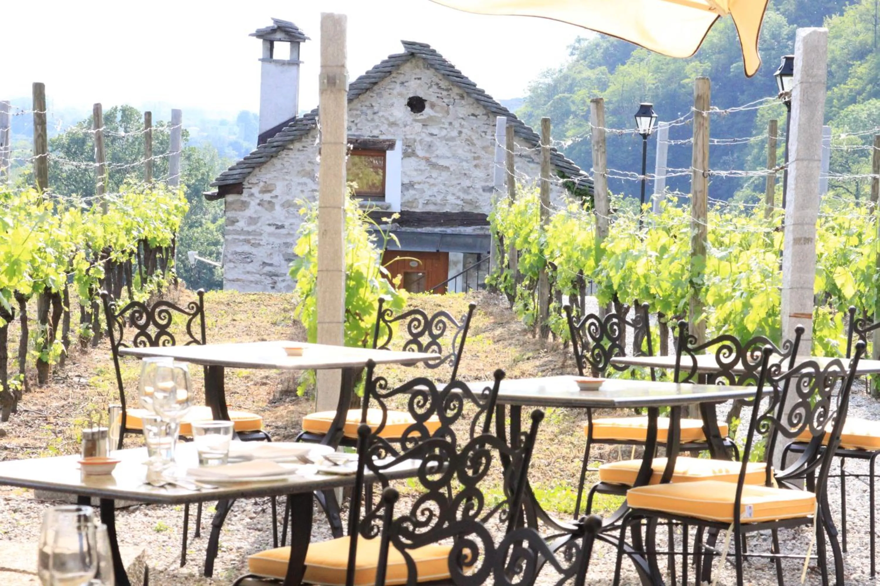 Restaurant/places to eat in Fattoria l'Amorosa