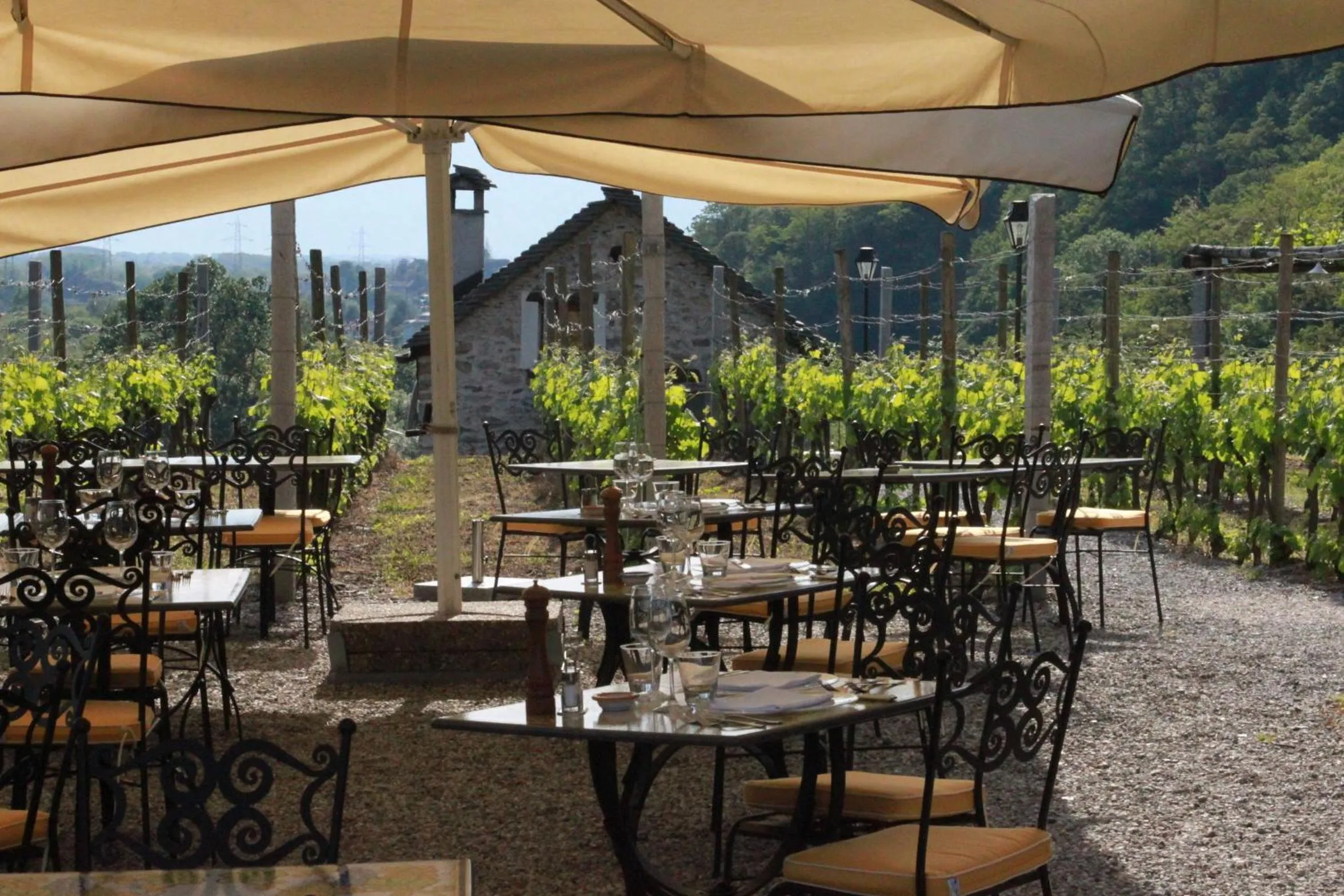 Restaurant/places to eat in Fattoria l'Amorosa