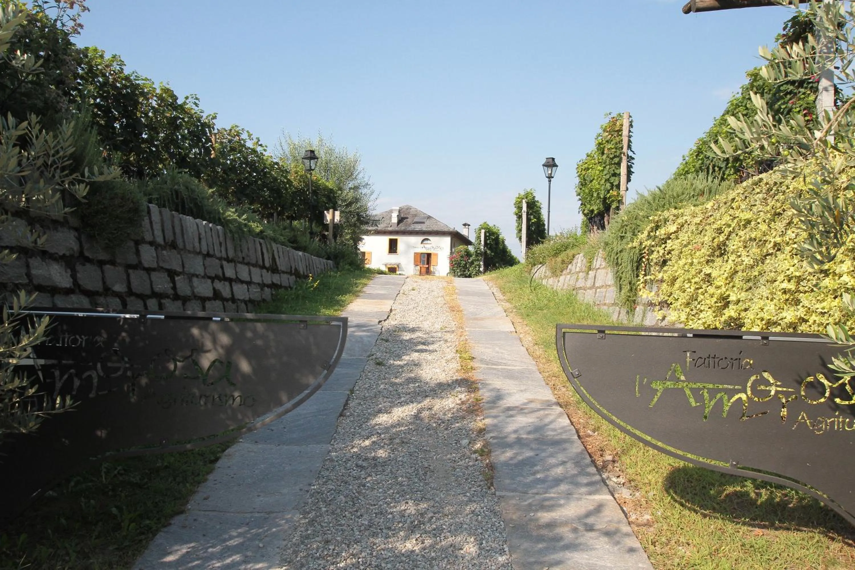 Area and facilities in Fattoria l'Amorosa