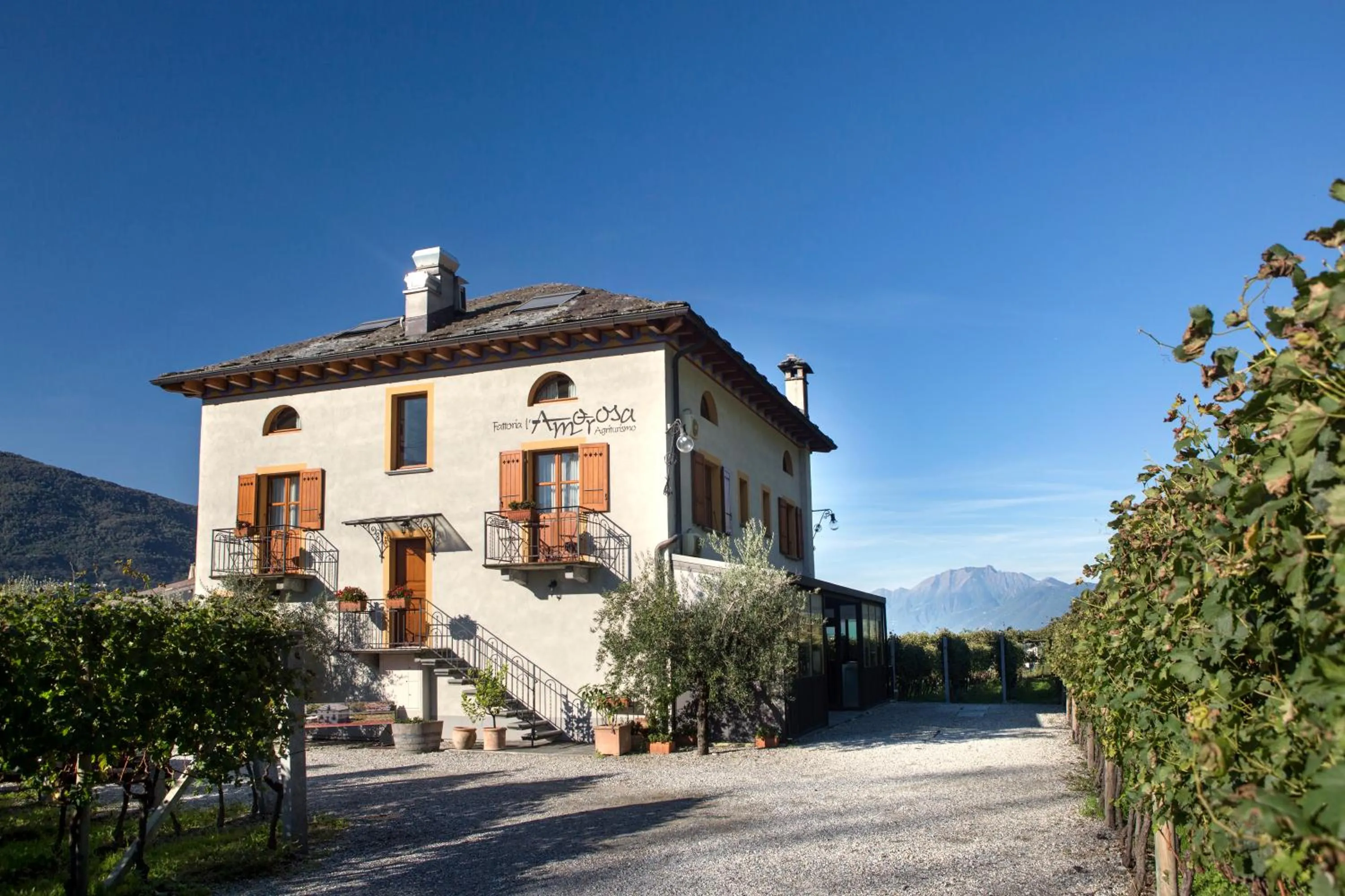 Property building in Fattoria l'Amorosa
