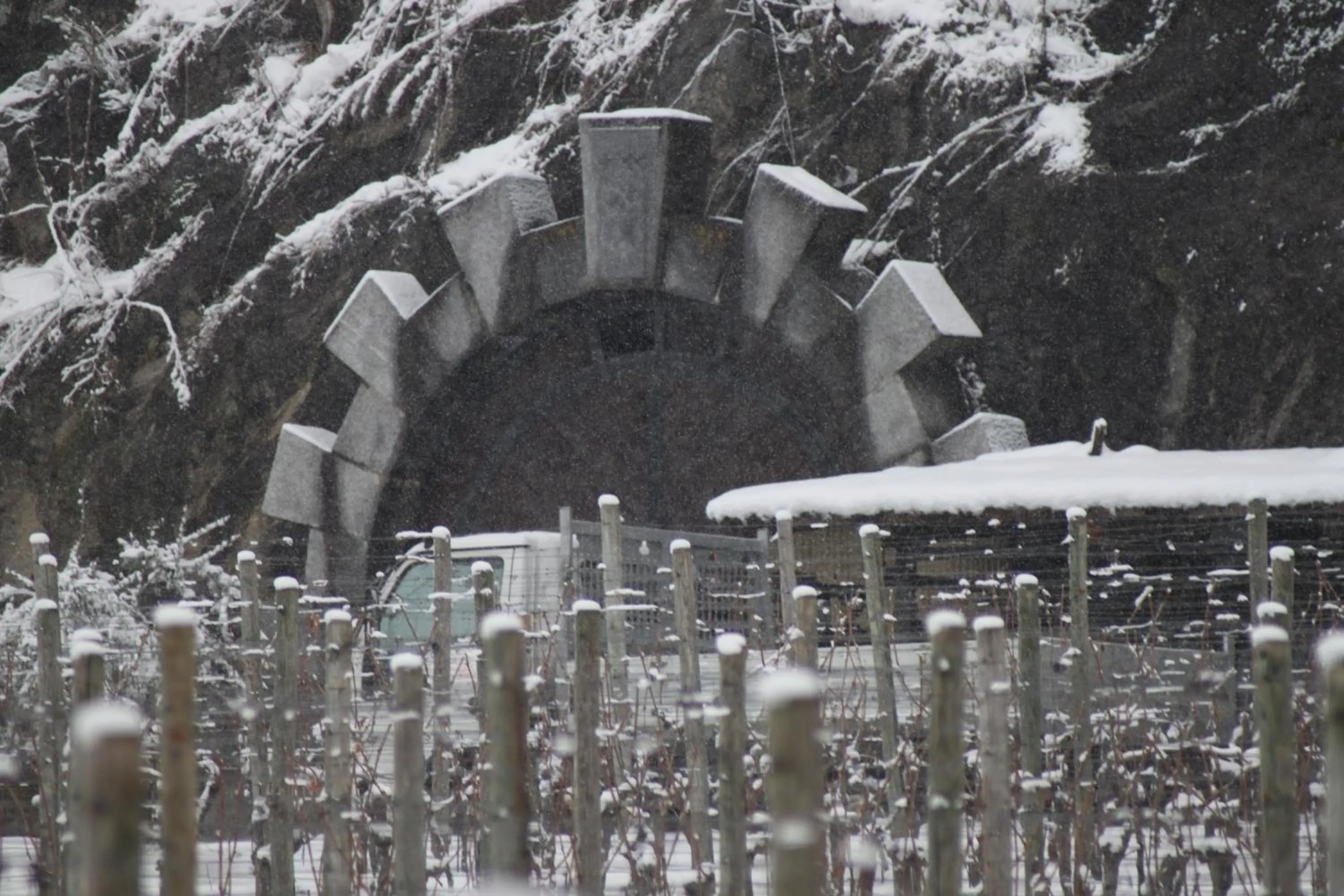 Winter in Fattoria l'Amorosa