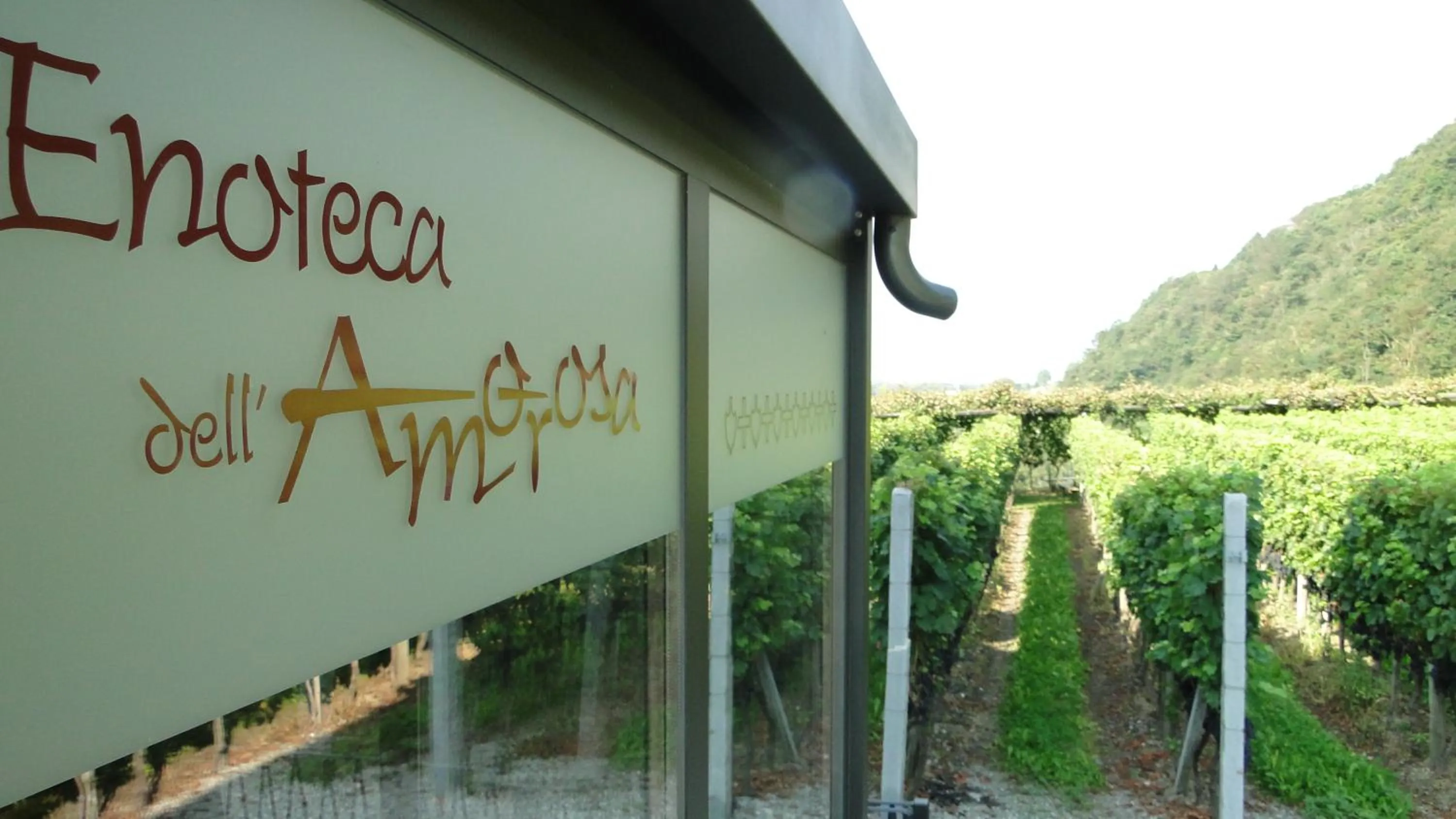 Logo/Certificate/Sign in Fattoria l'Amorosa