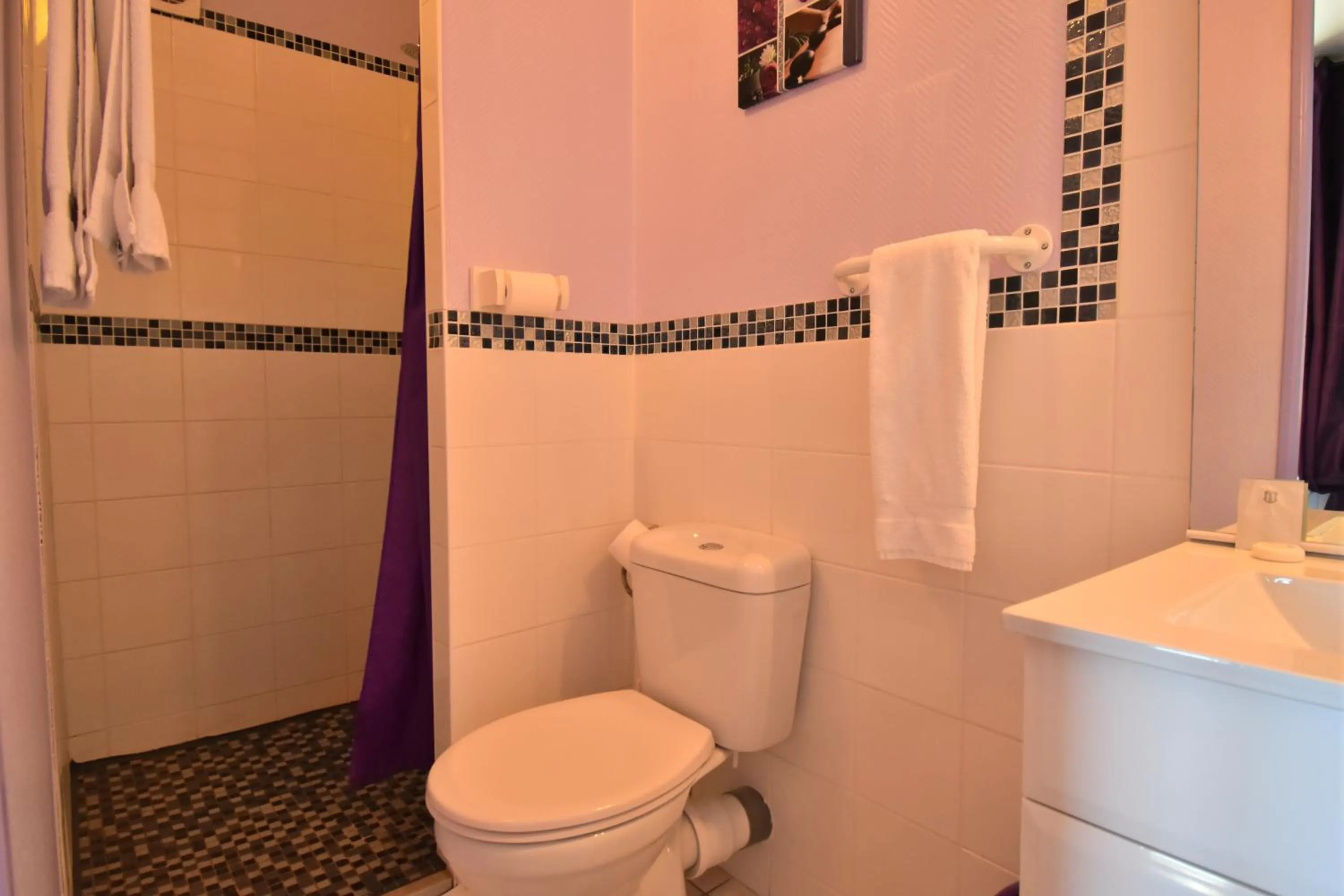 Shower in Hôtel des 2 Gares