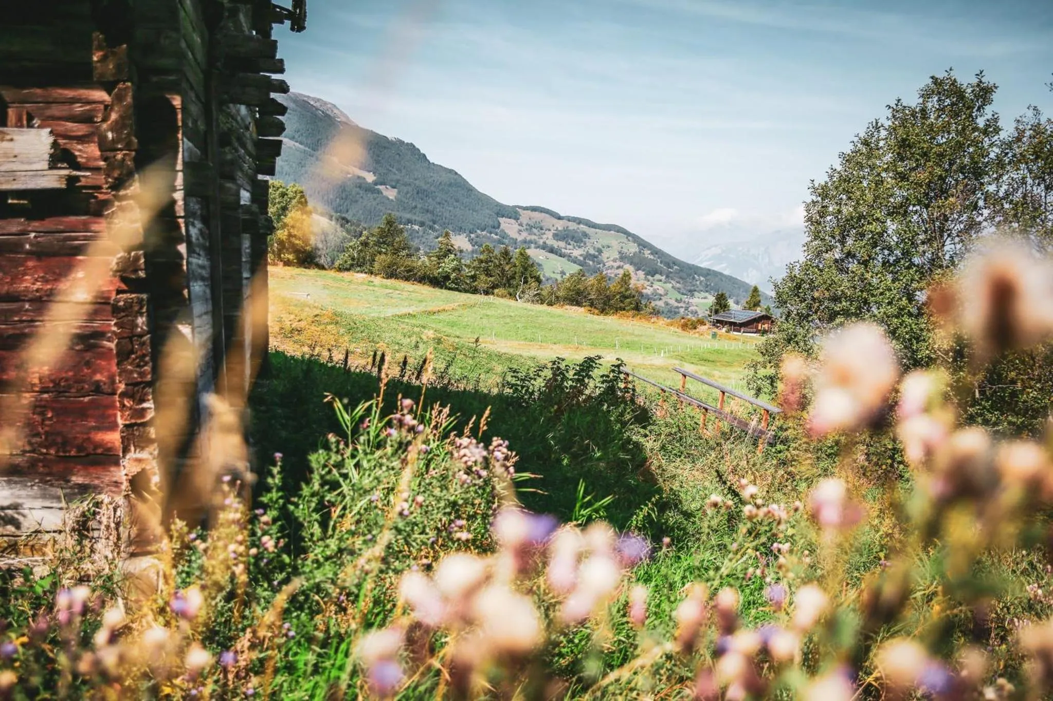 Natural landscape in Hotel Restaurant Bürchnerhof