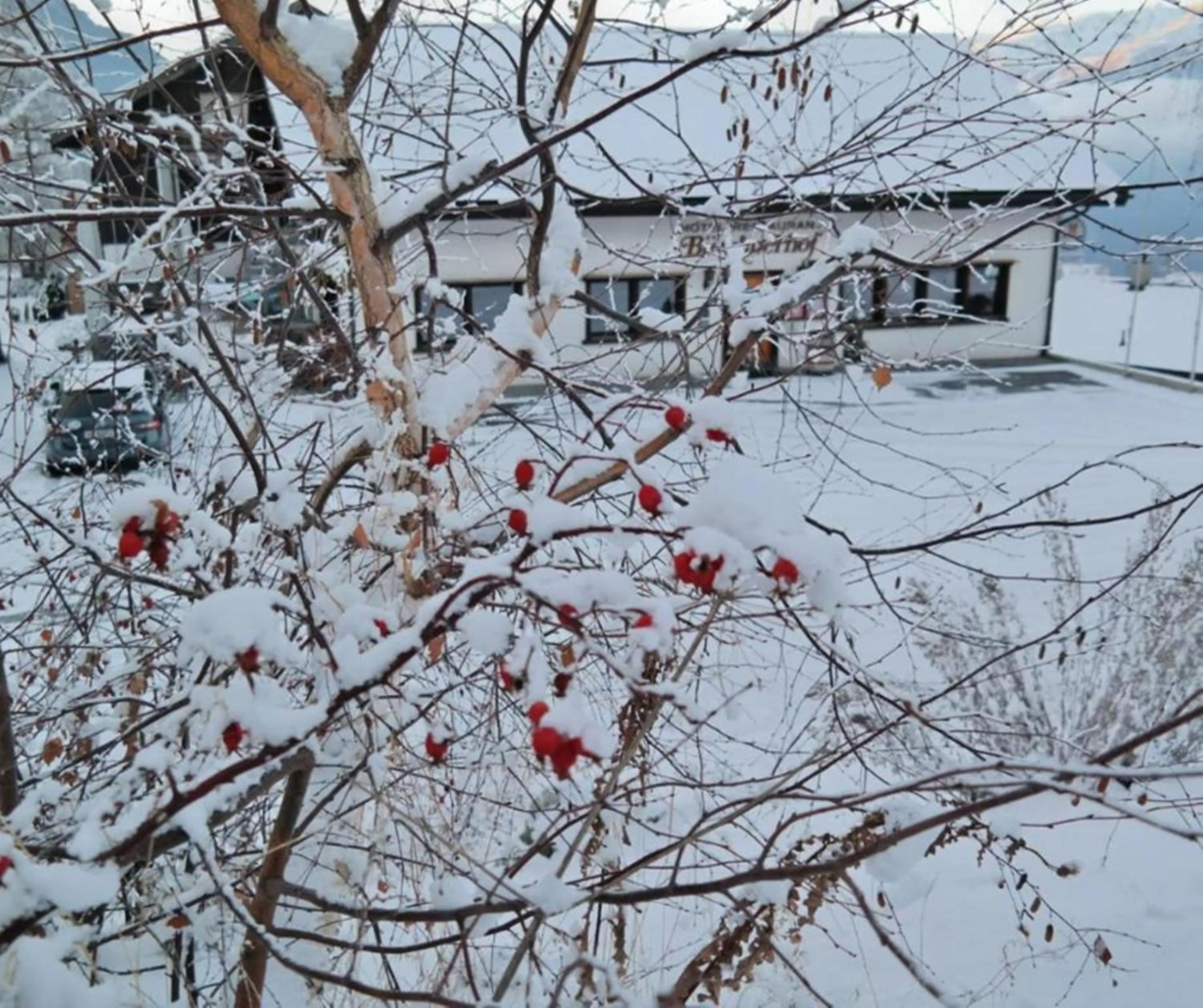 Property building in Hotel Restaurant Bürchnerhof