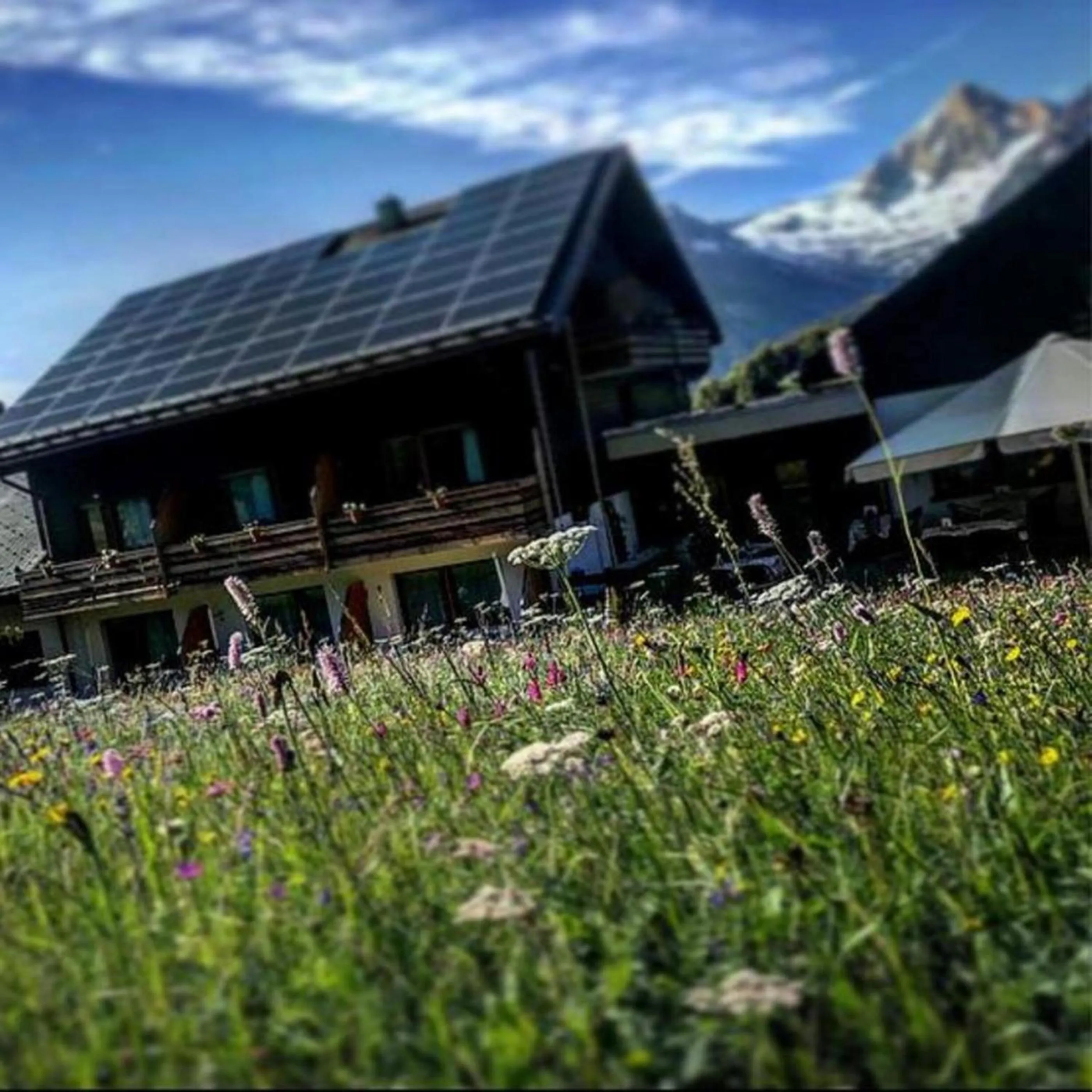 Property building in Hotel Restaurant Bürchnerhof