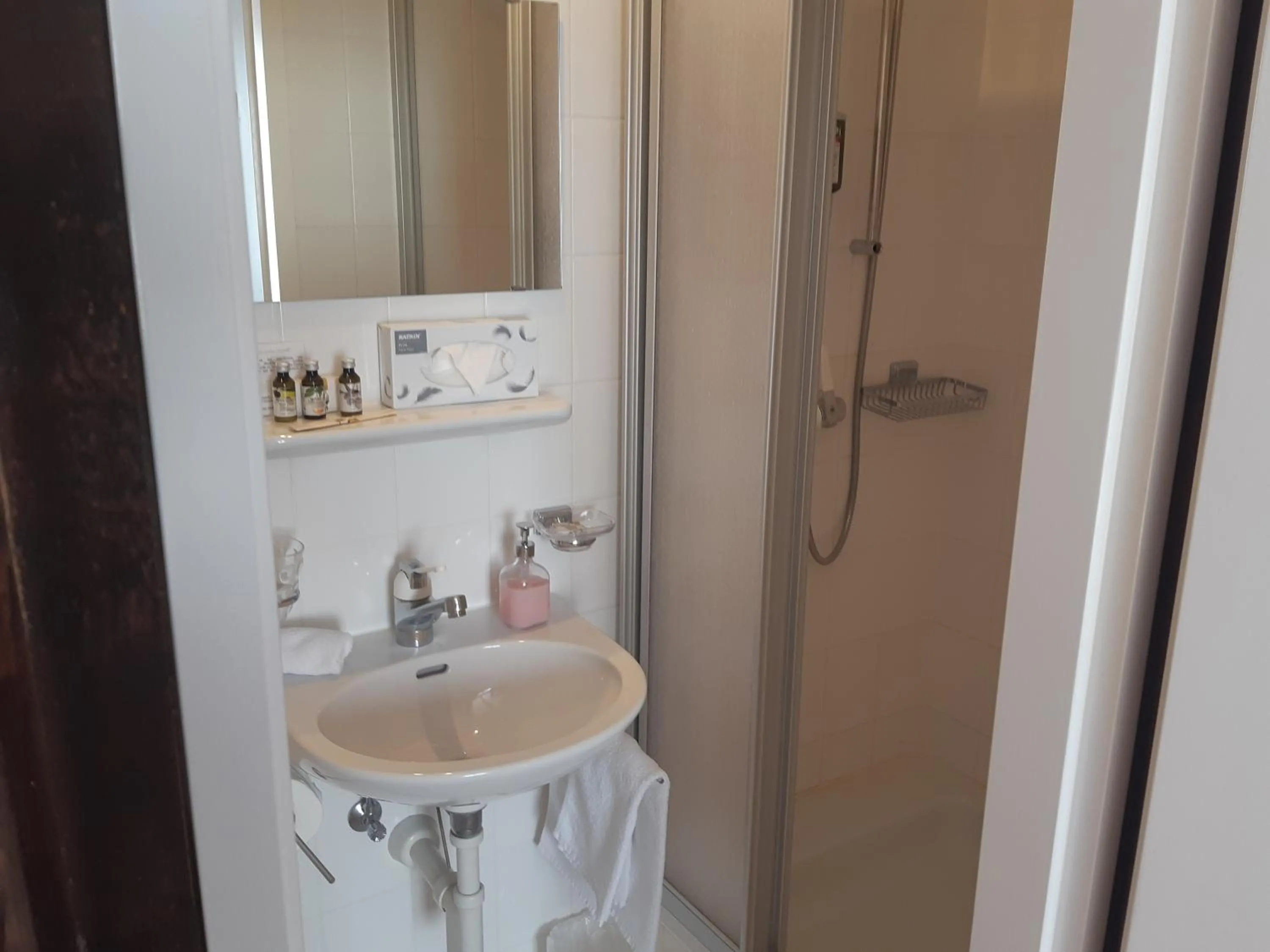 Shower in Hotel Regina